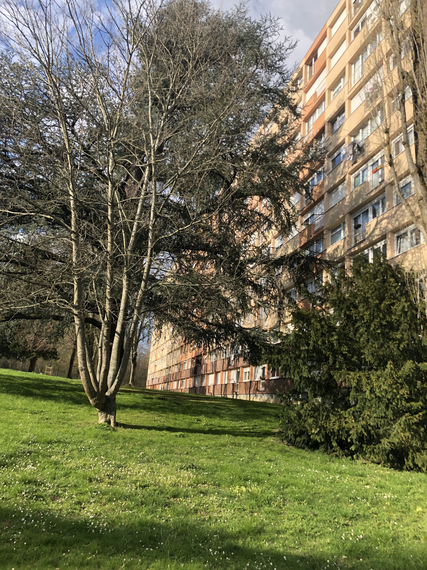 Photo 9 — VAN DEN IMMOBILIER