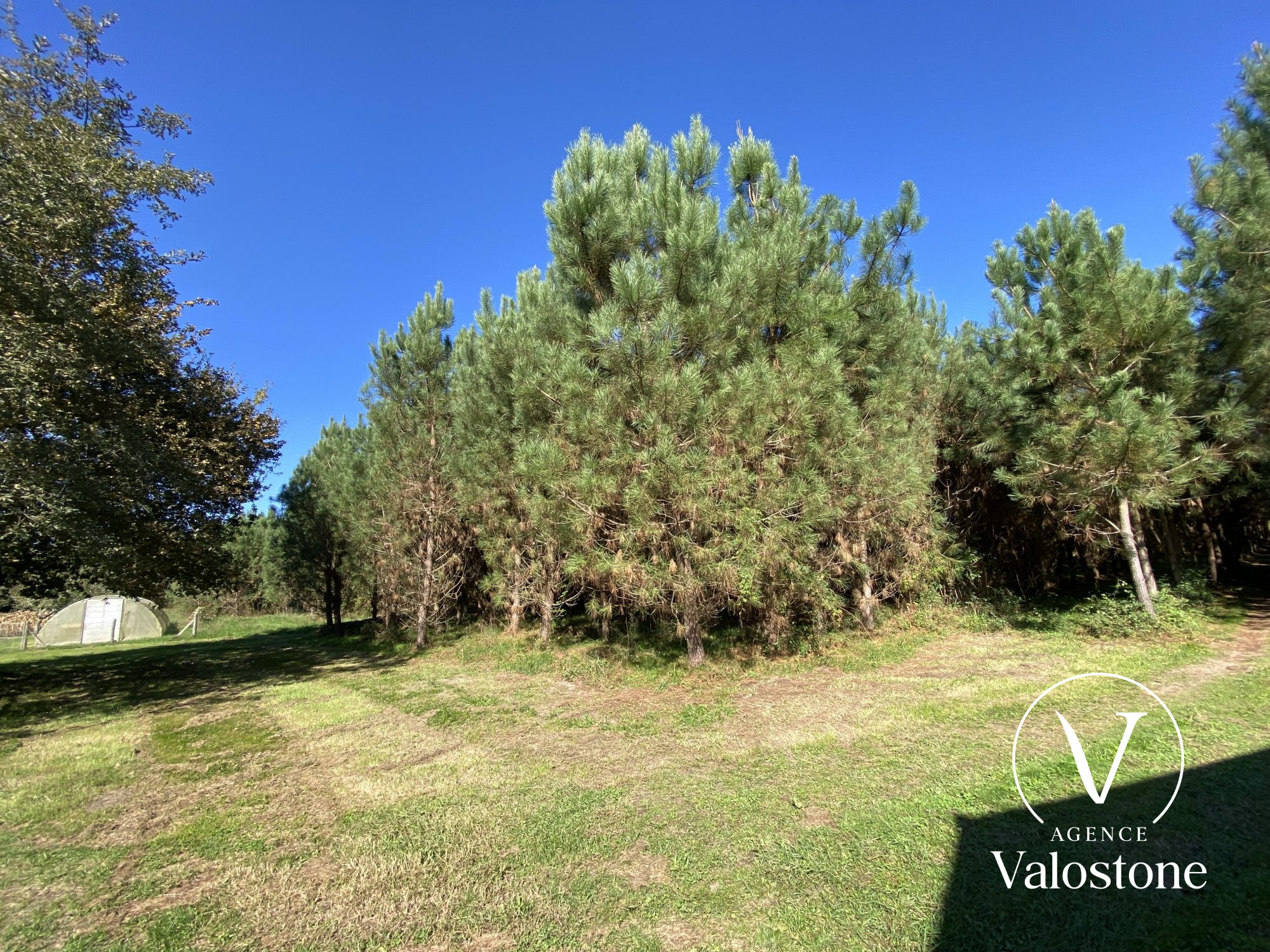 Photo 23 — VALOSTONE INTERNATIONAL