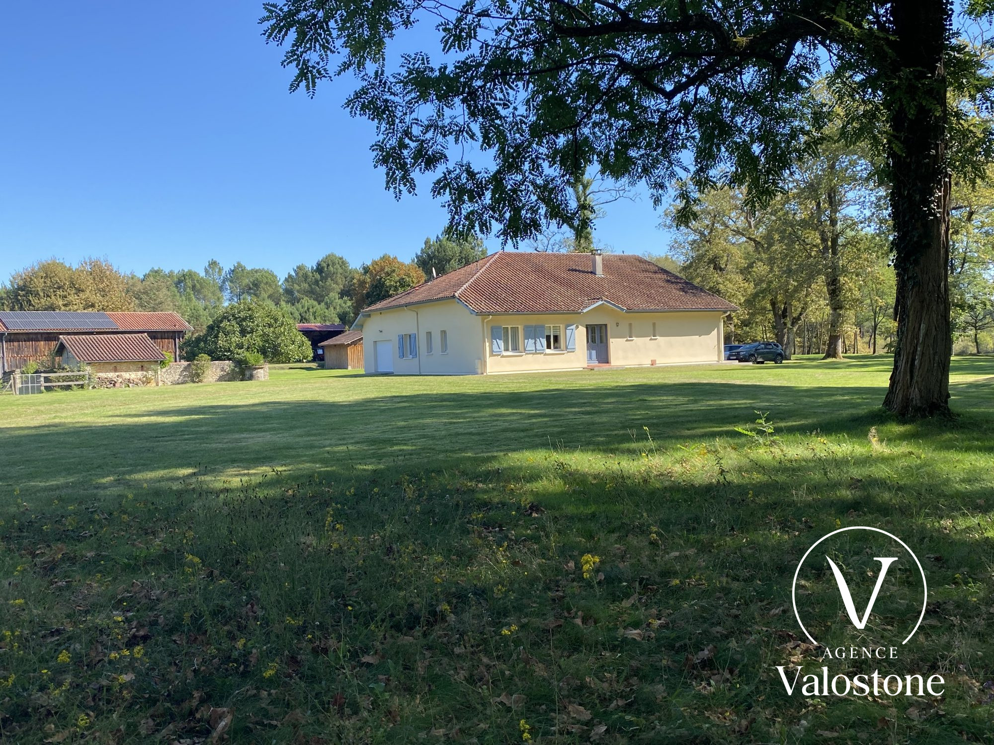 Photo 5 — VALOSTONE INTERNATIONAL
