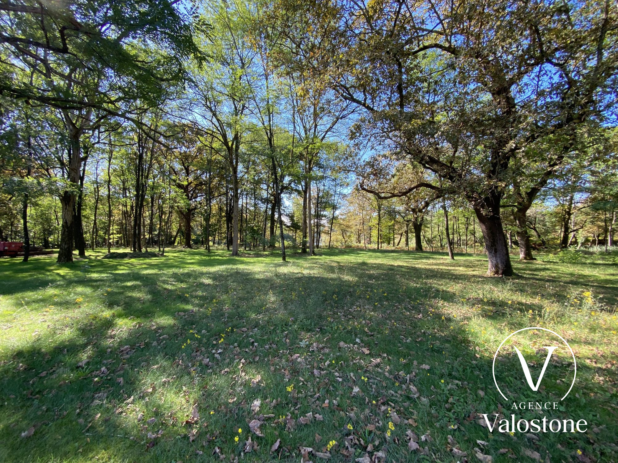 Photo 21 — VALOSTONE INTERNATIONAL