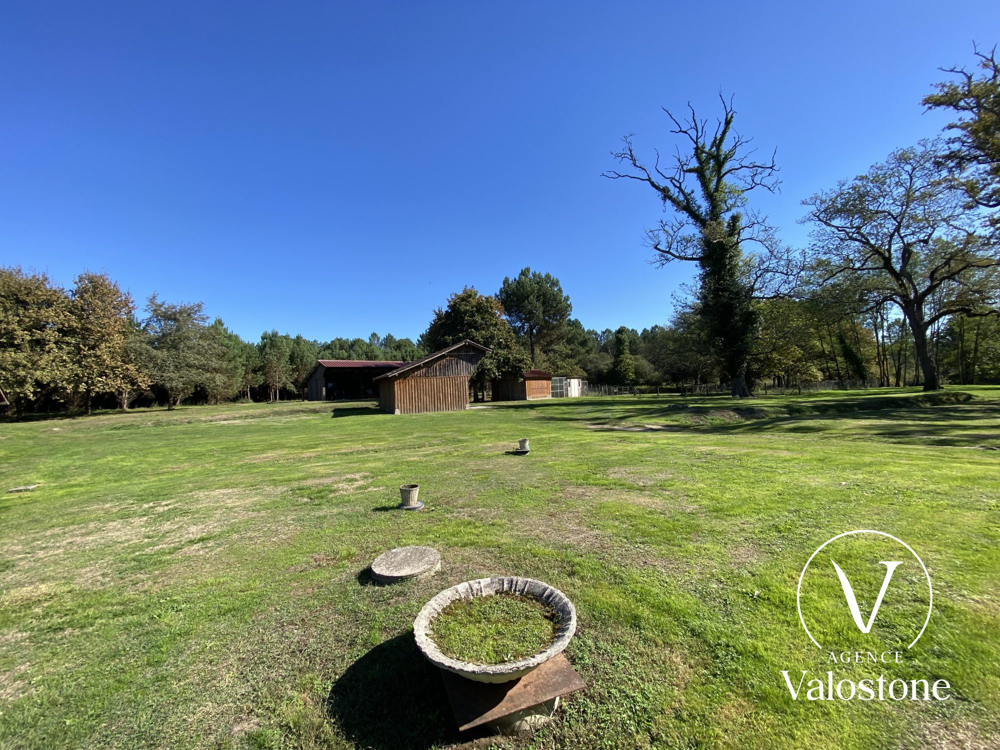 Photo 19 — VALOSTONE INTERNATIONAL