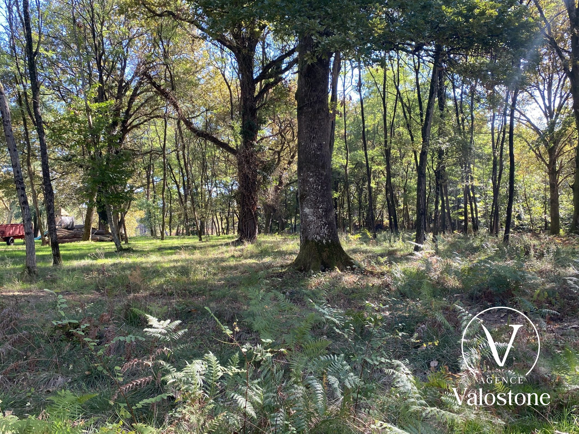 Photo 22 — VALOSTONE INTERNATIONAL