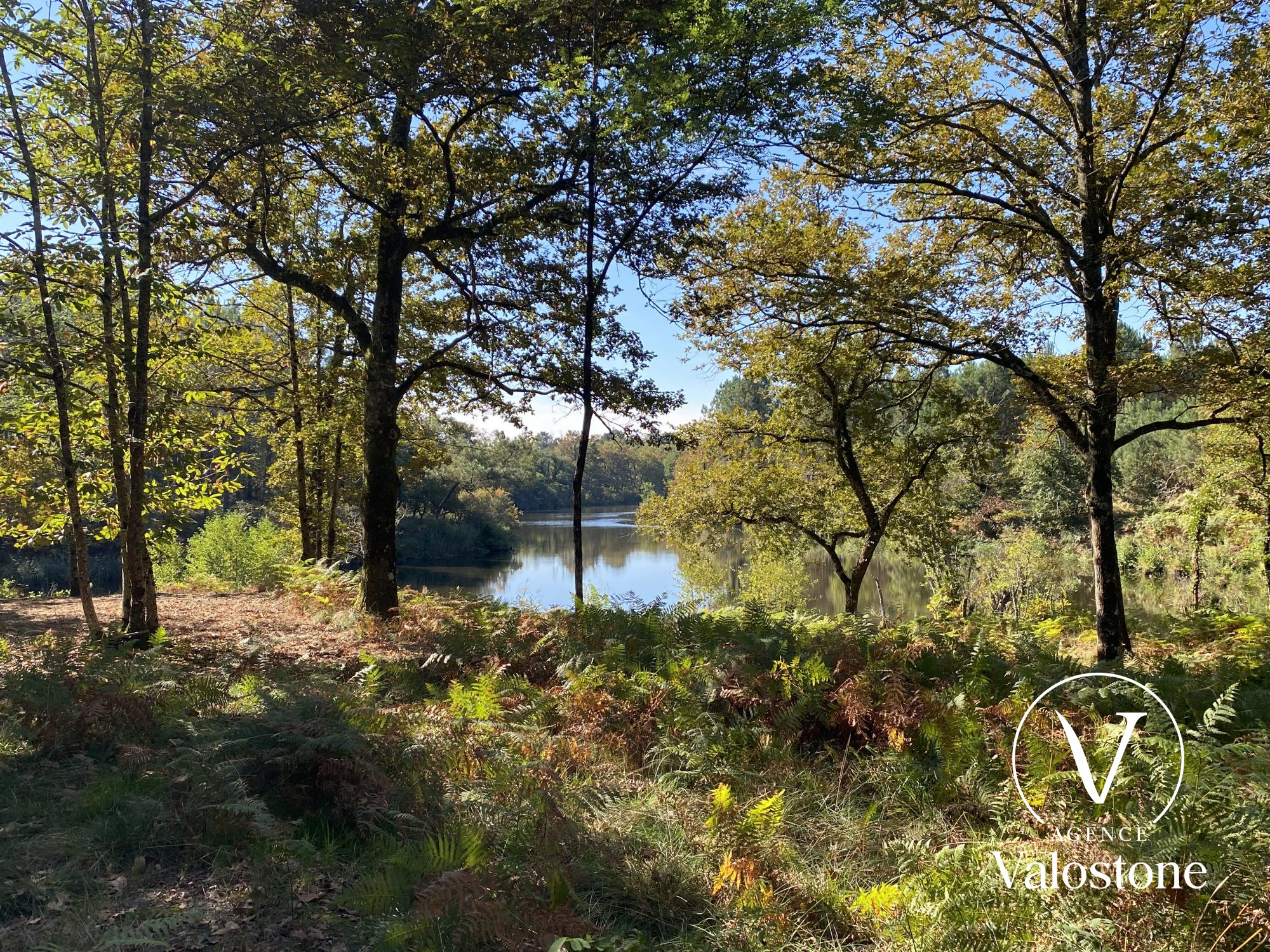 Photo 24 — VALOSTONE INTERNATIONAL