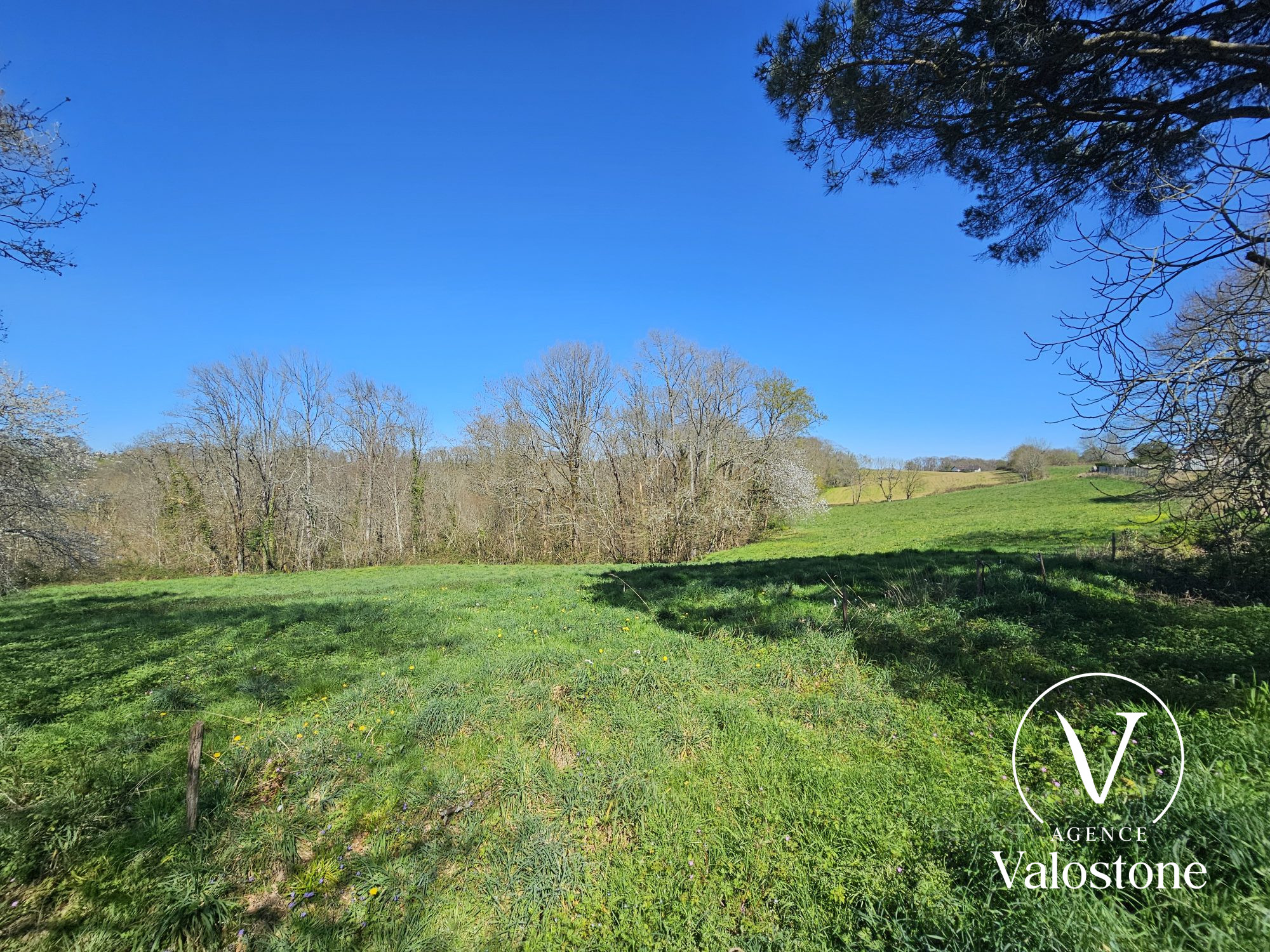 Photo 25 — VALOSTONE INTERNATIONAL