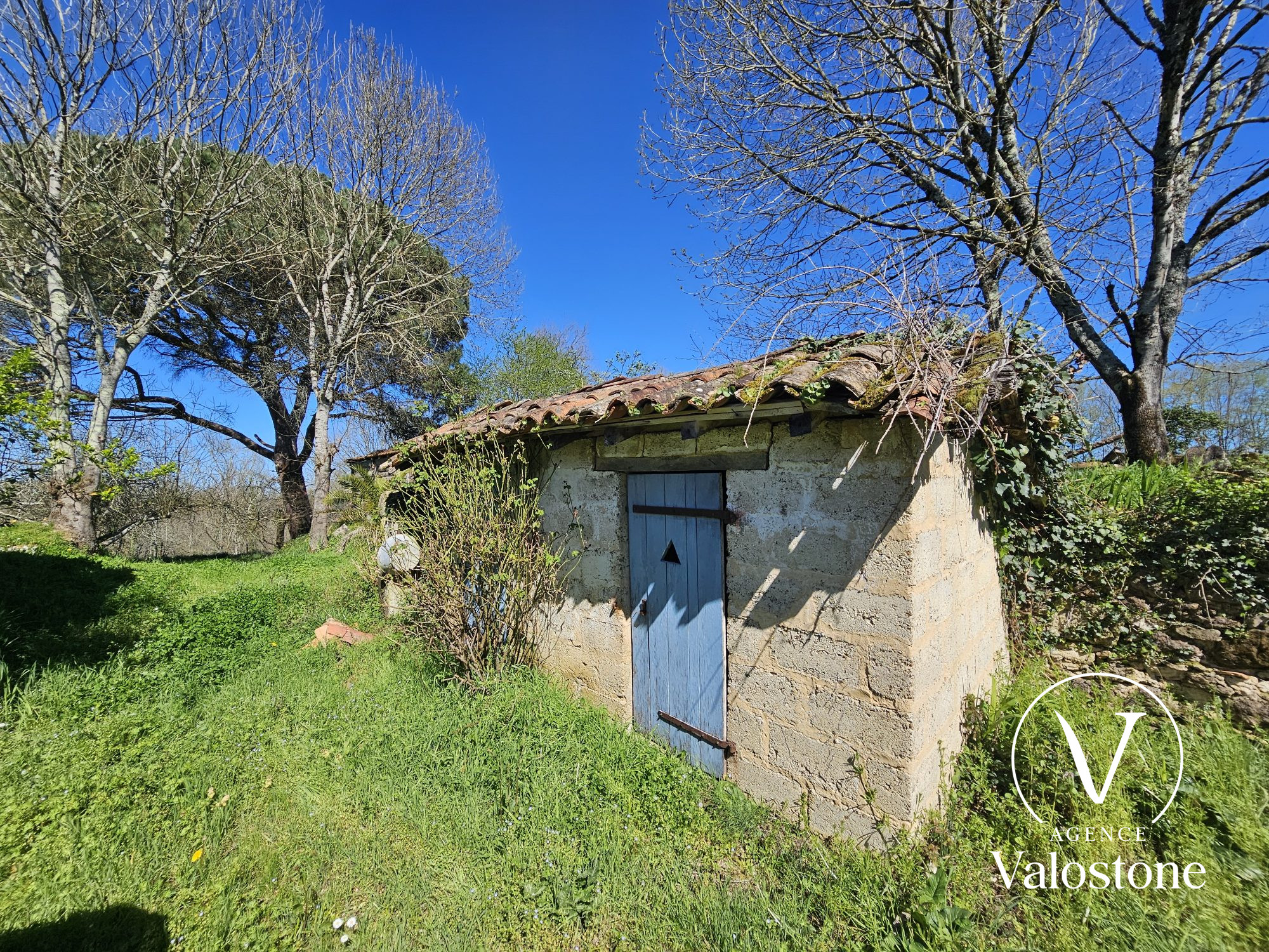 Photo 3 — VALOSTONE INTERNATIONAL