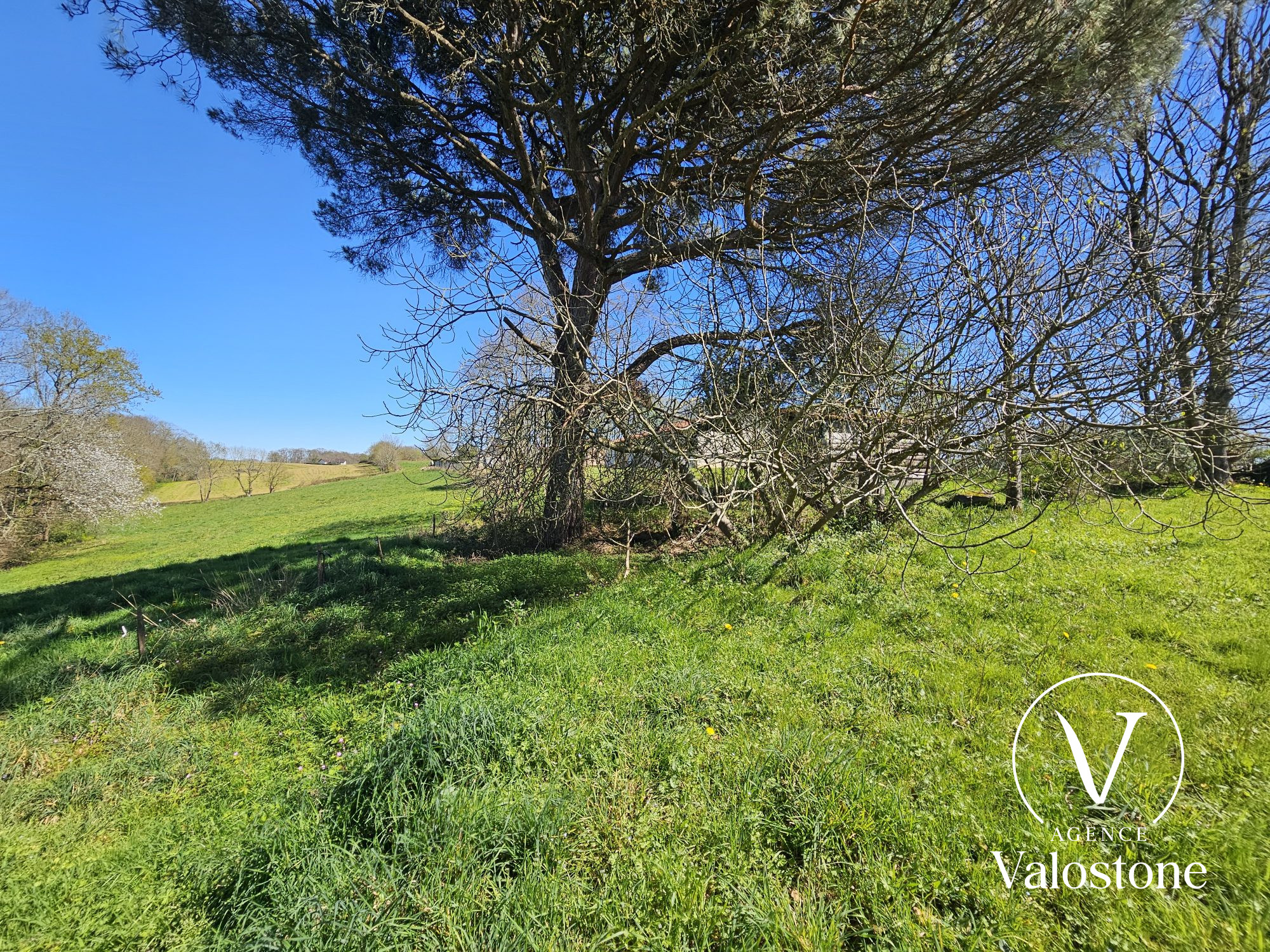 Photo 26 — VALOSTONE INTERNATIONAL