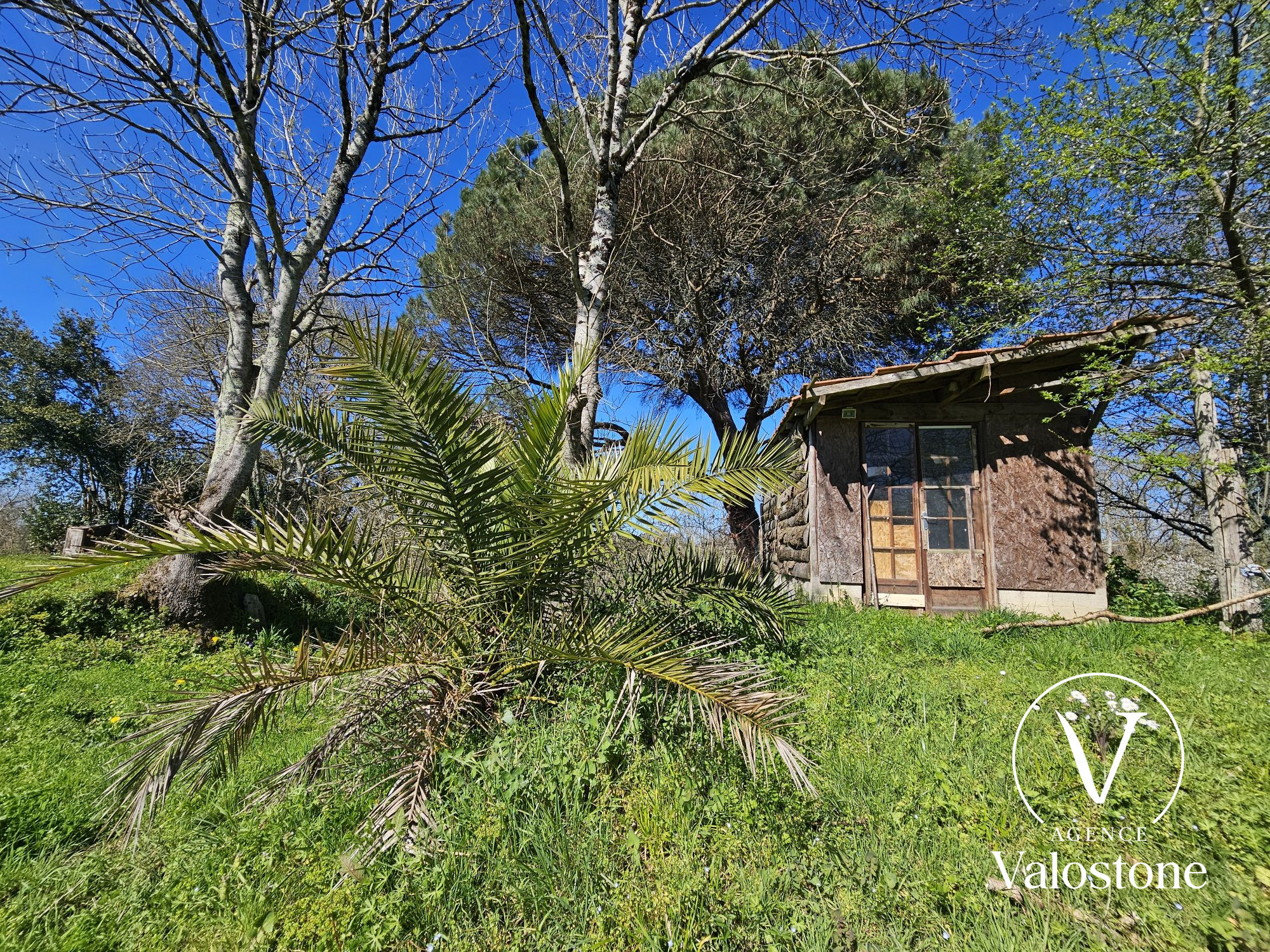 Photo 12 — VALOSTONE INTERNATIONAL