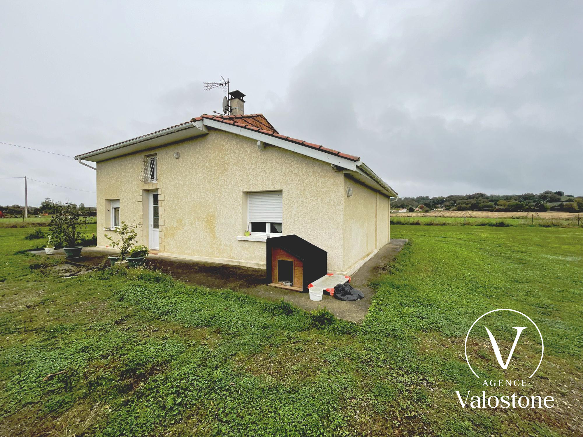 Photo 5 — VALOSTONE INTERNATIONAL