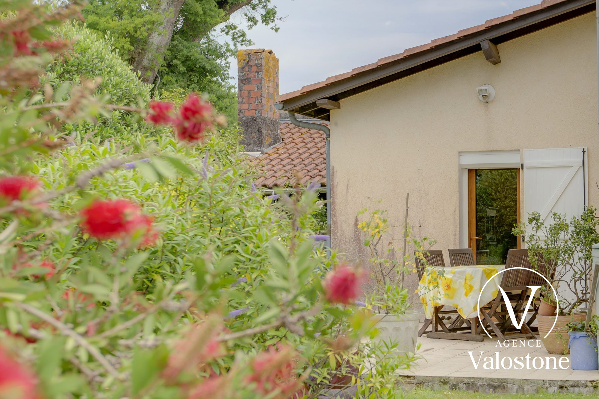Photo 5 — VALOSTONE INTERNATIONAL