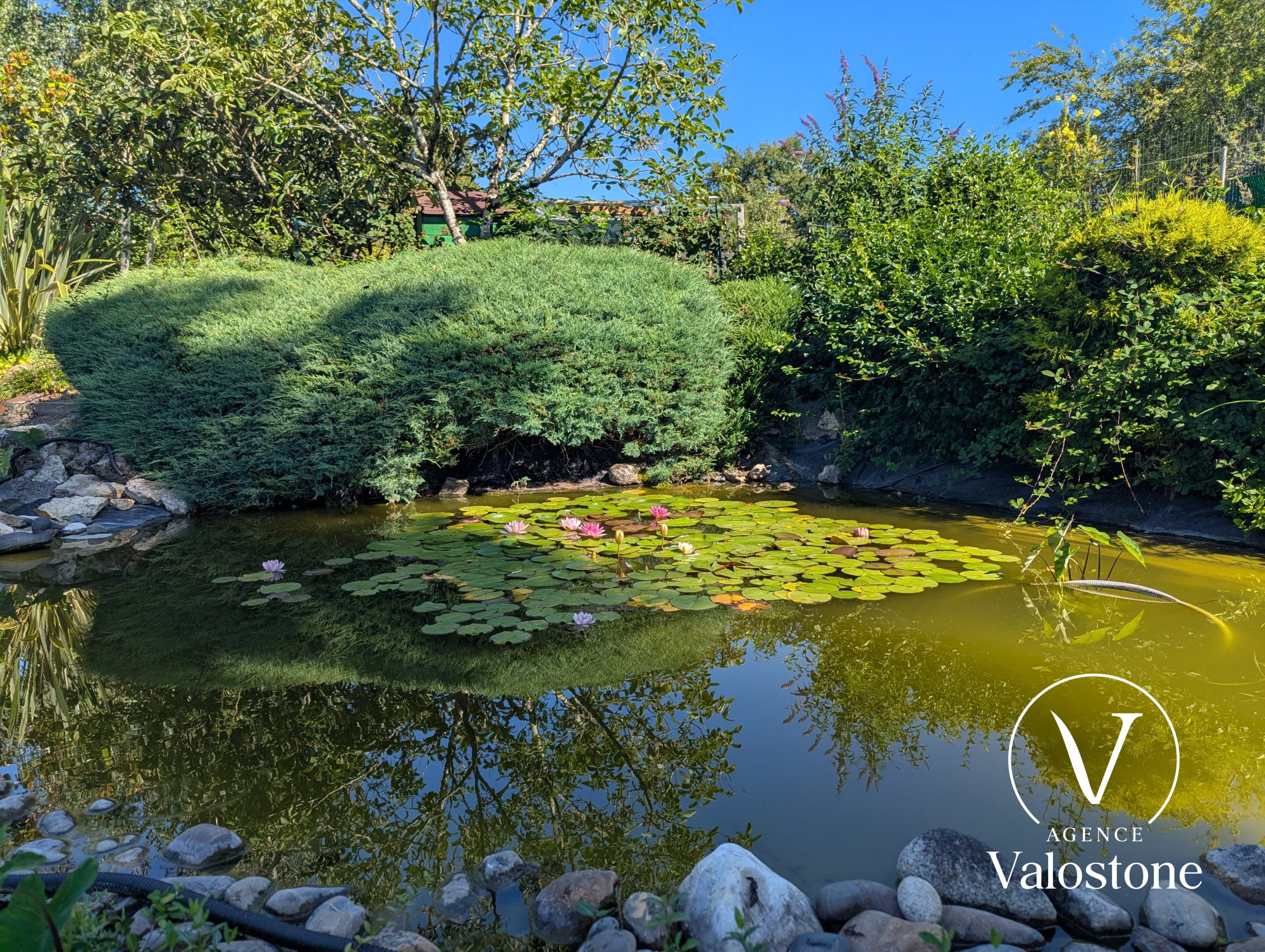 Photo 3 — VALOSTONE INTERNATIONAL