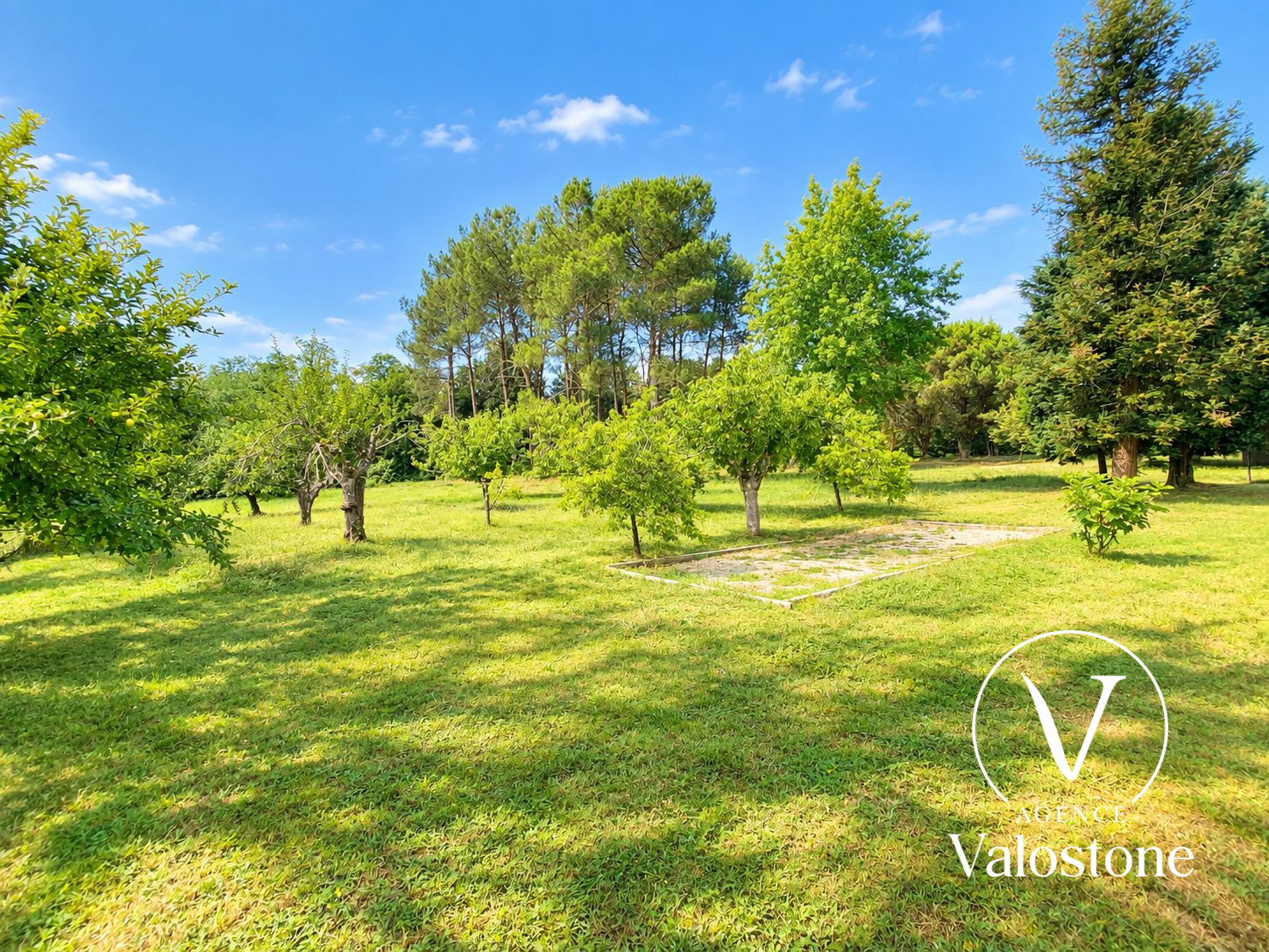 Photo 23 — VALOSTONE INTERNATIONAL