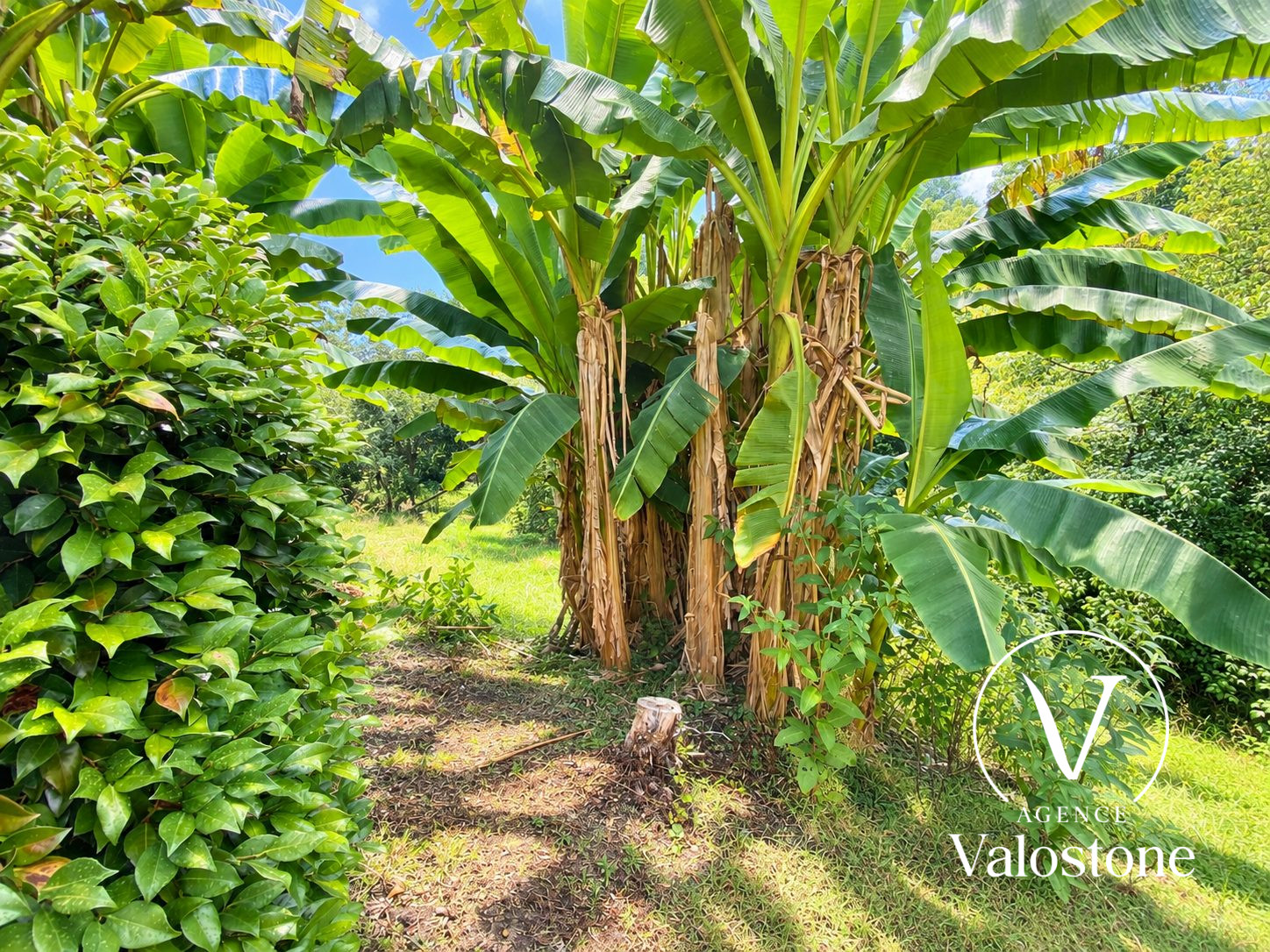 Photo 9 — VALOSTONE INTERNATIONAL