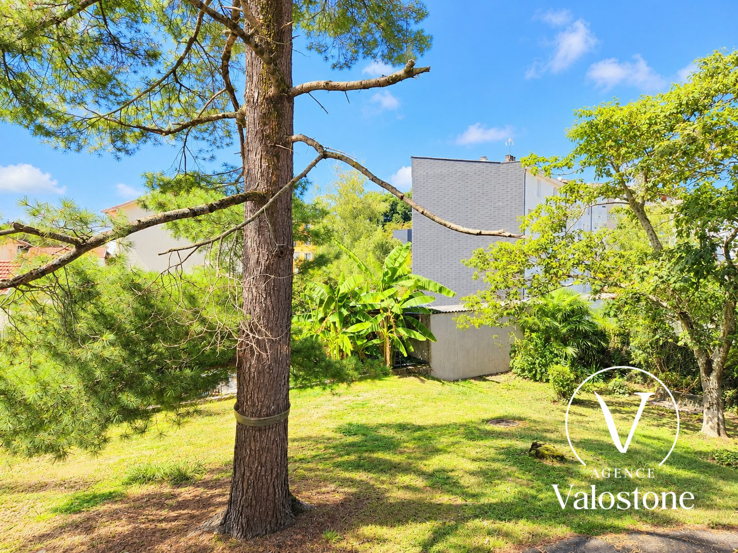 Photo 9 — VALOSTONE INTERNATIONAL