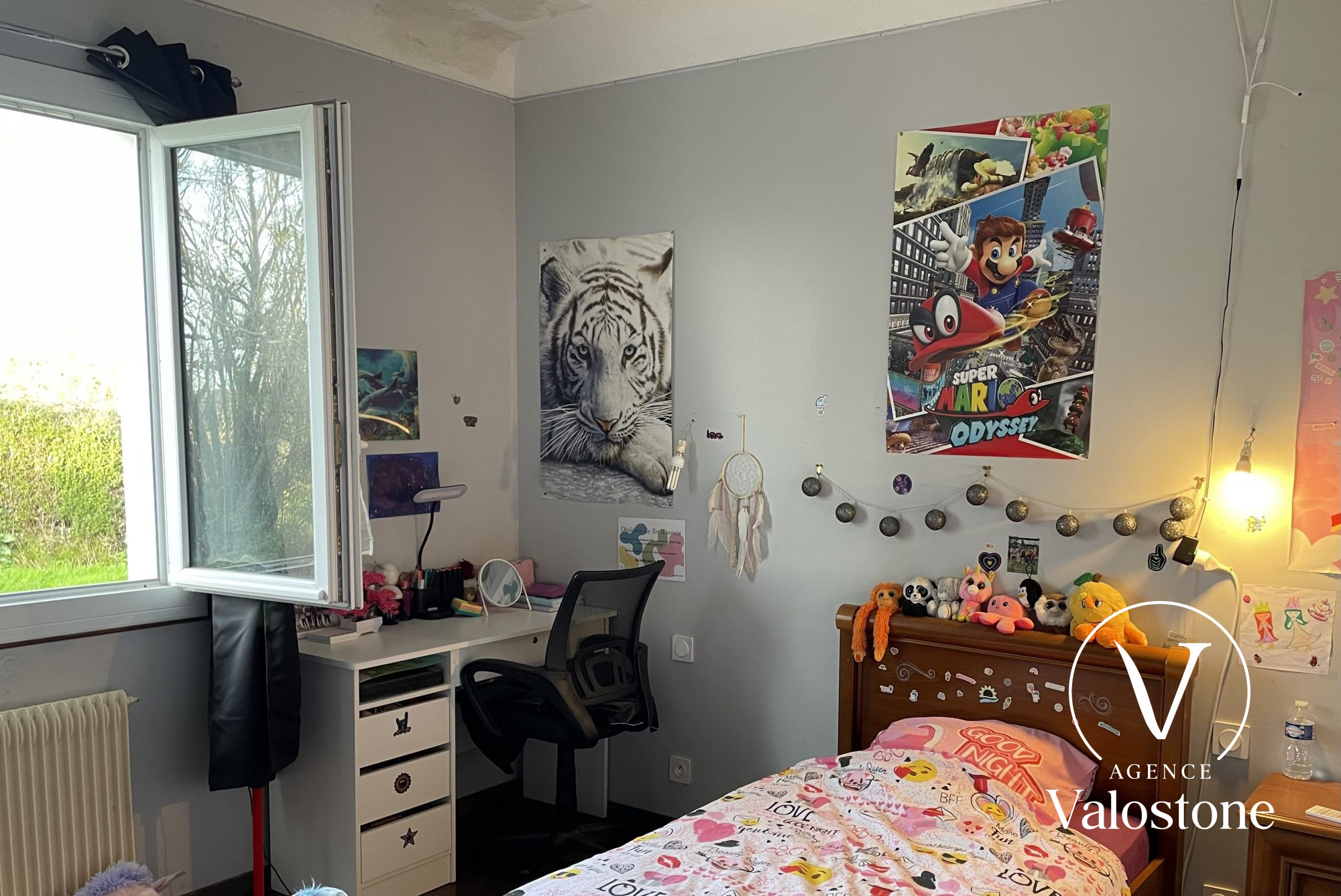 Photo 6 — VALOSTONE INTERNATIONAL