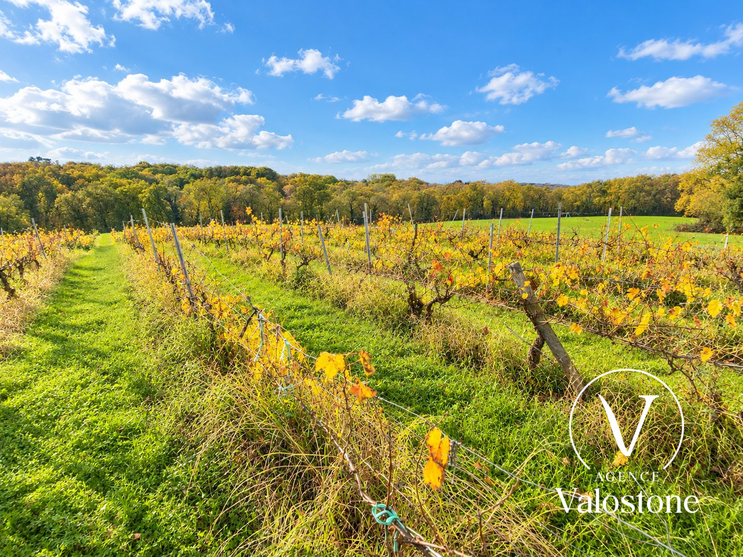 Photo 10 — VALOSTONE INTERNATIONAL