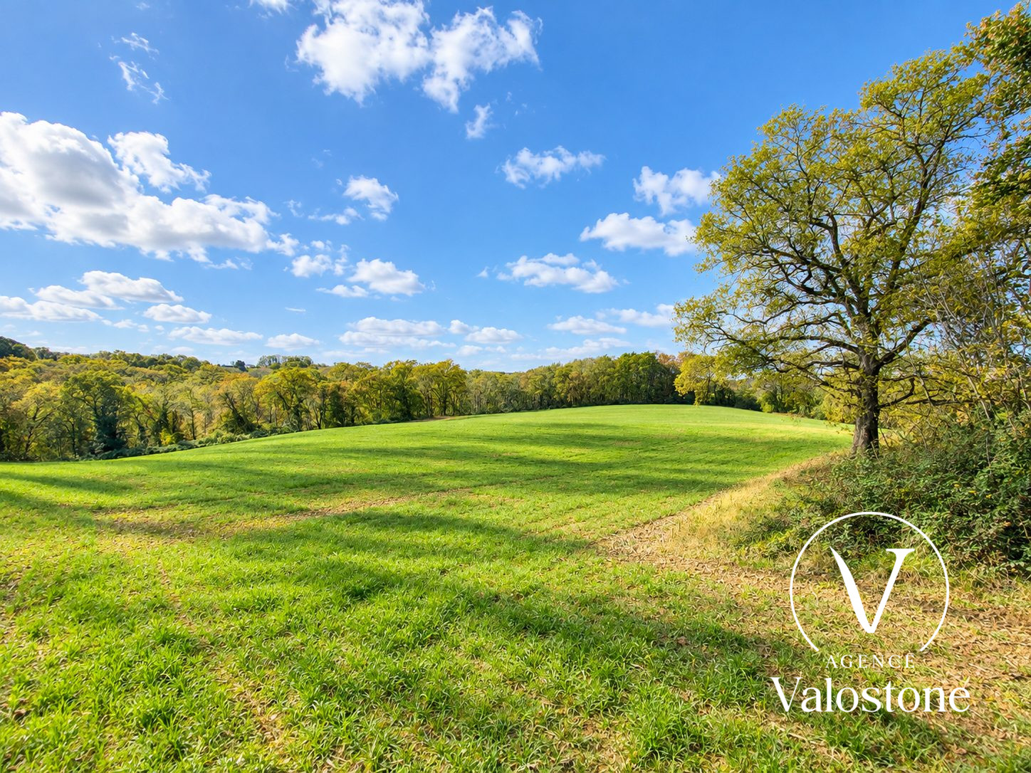 Photo 9 — VALOSTONE INTERNATIONAL