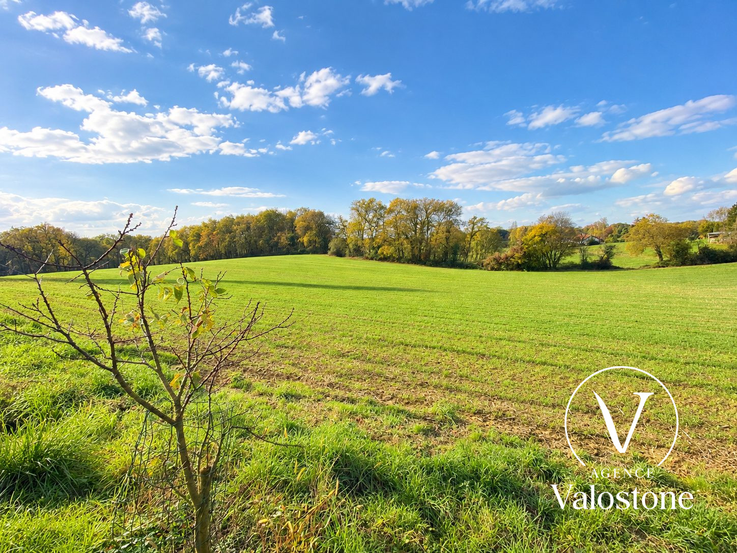 Photo 21 — VALOSTONE INTERNATIONAL