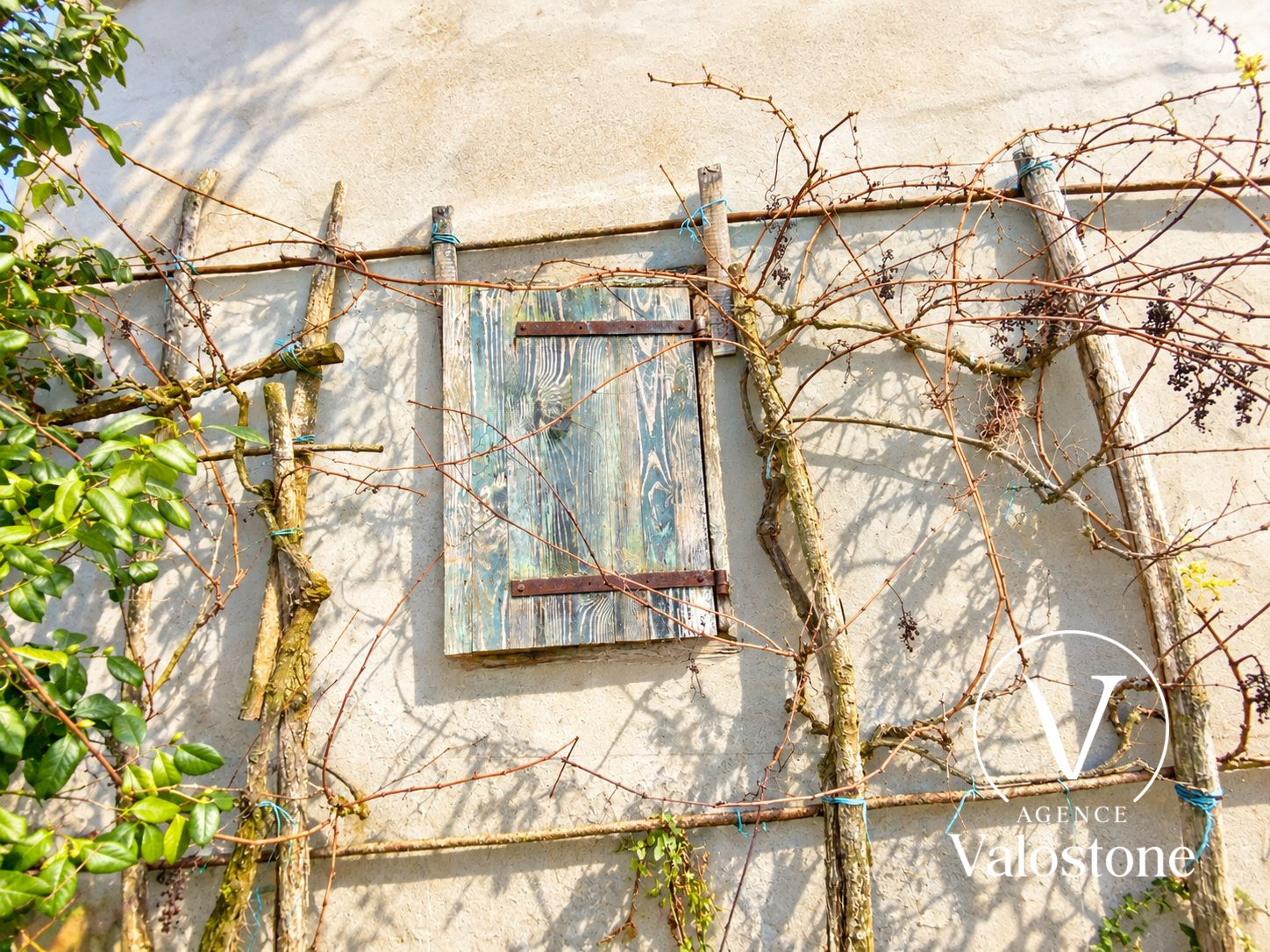 Photo 22 — VALOSTONE INTERNATIONAL