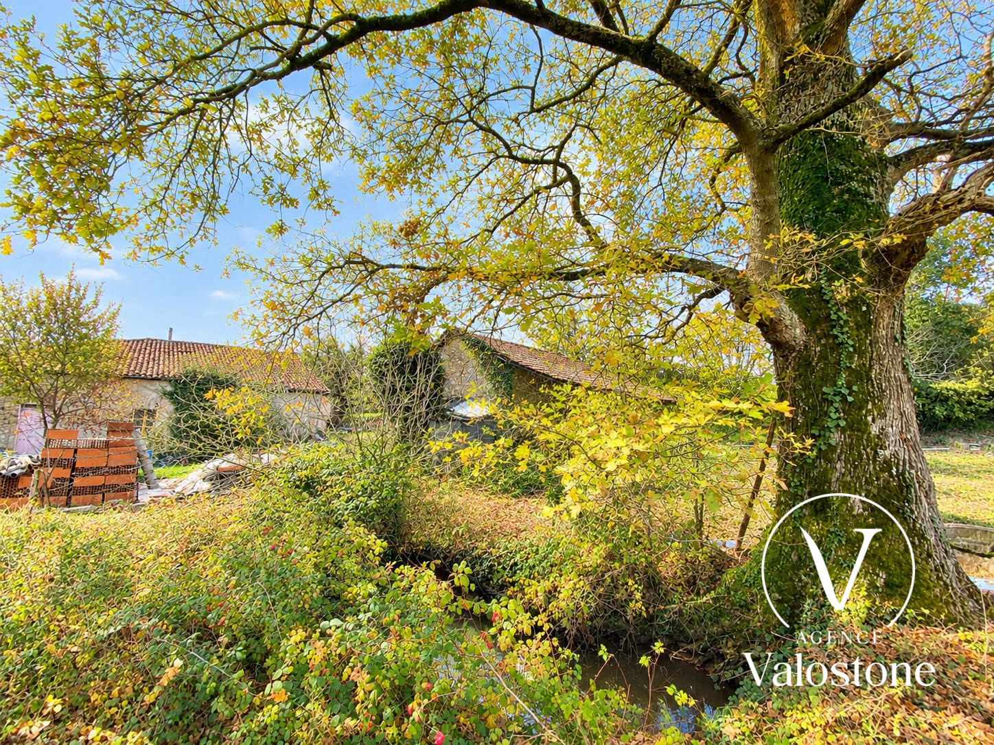 Photo 19 — VALOSTONE INTERNATIONAL