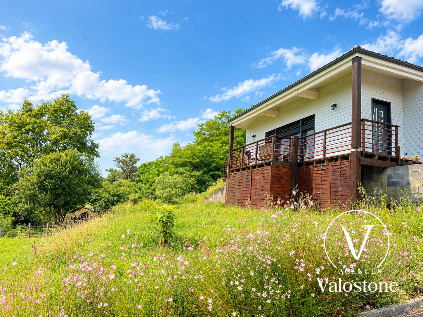 Photo 2 — VALOSTONE INTERNATIONAL