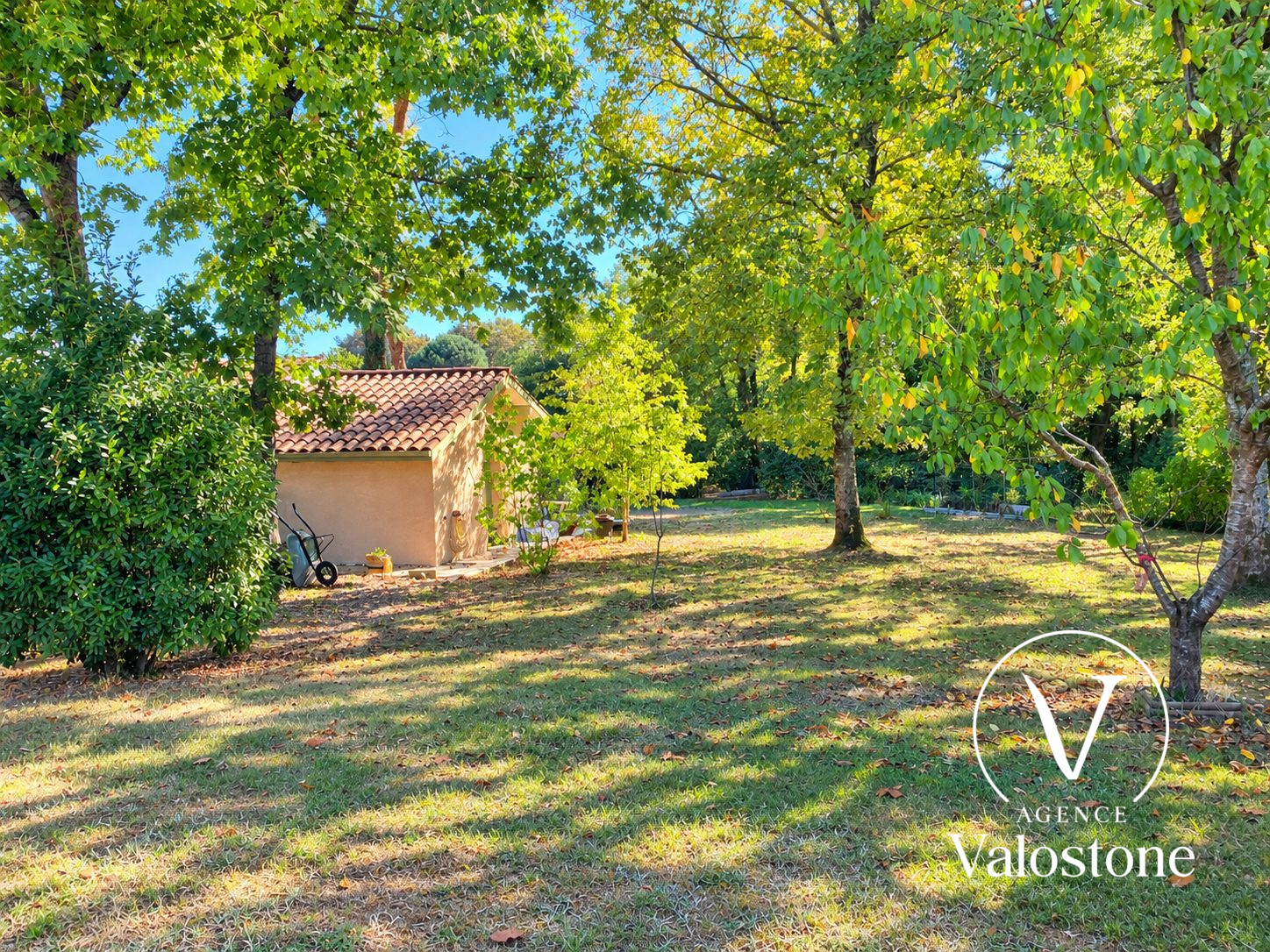 Photo 18 — VALOSTONE INTERNATIONAL