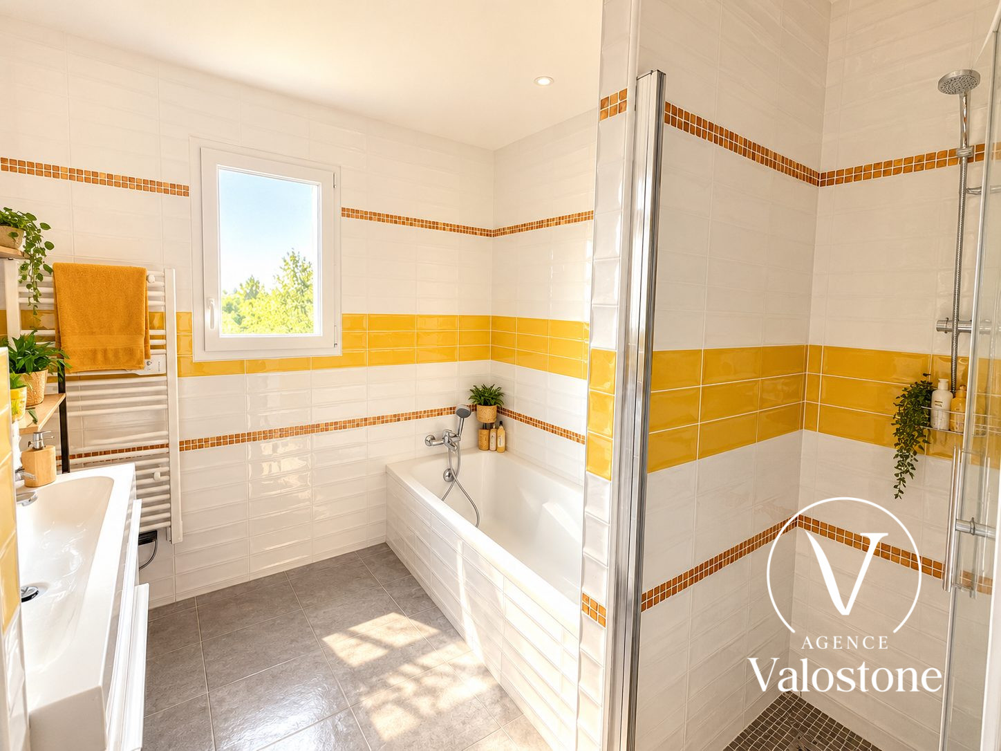 Photo 7 — VALOSTONE INTERNATIONAL