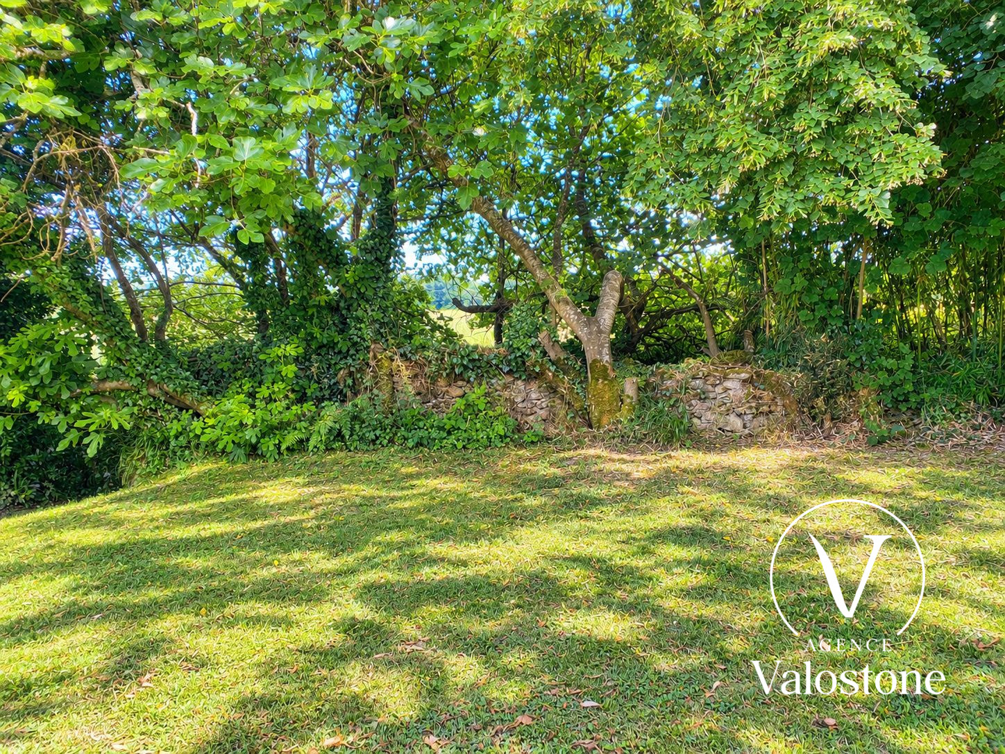 Photo 4 — VALOSTONE INTERNATIONAL