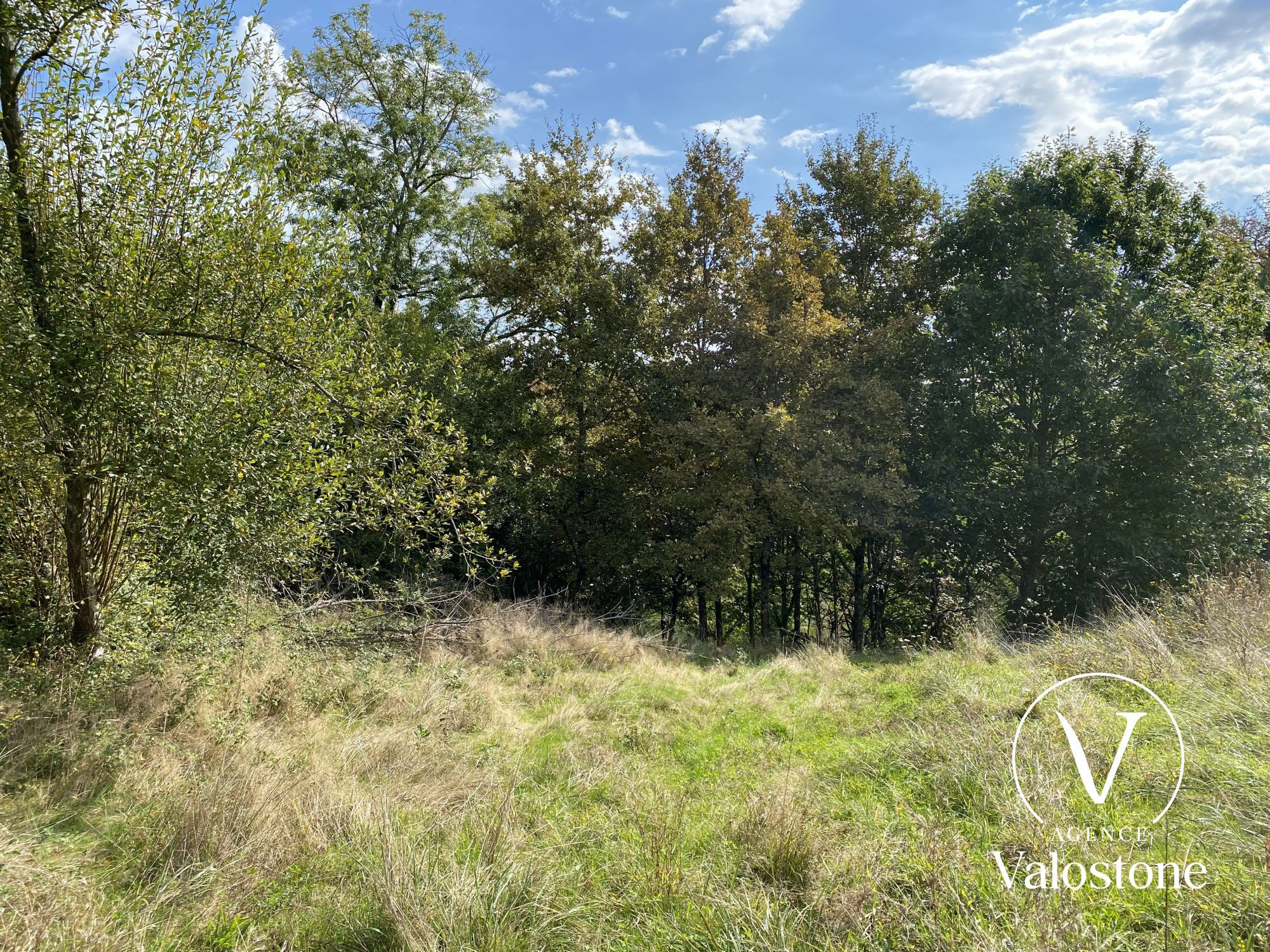 Photo 4 — VALOSTONE INTERNATIONAL