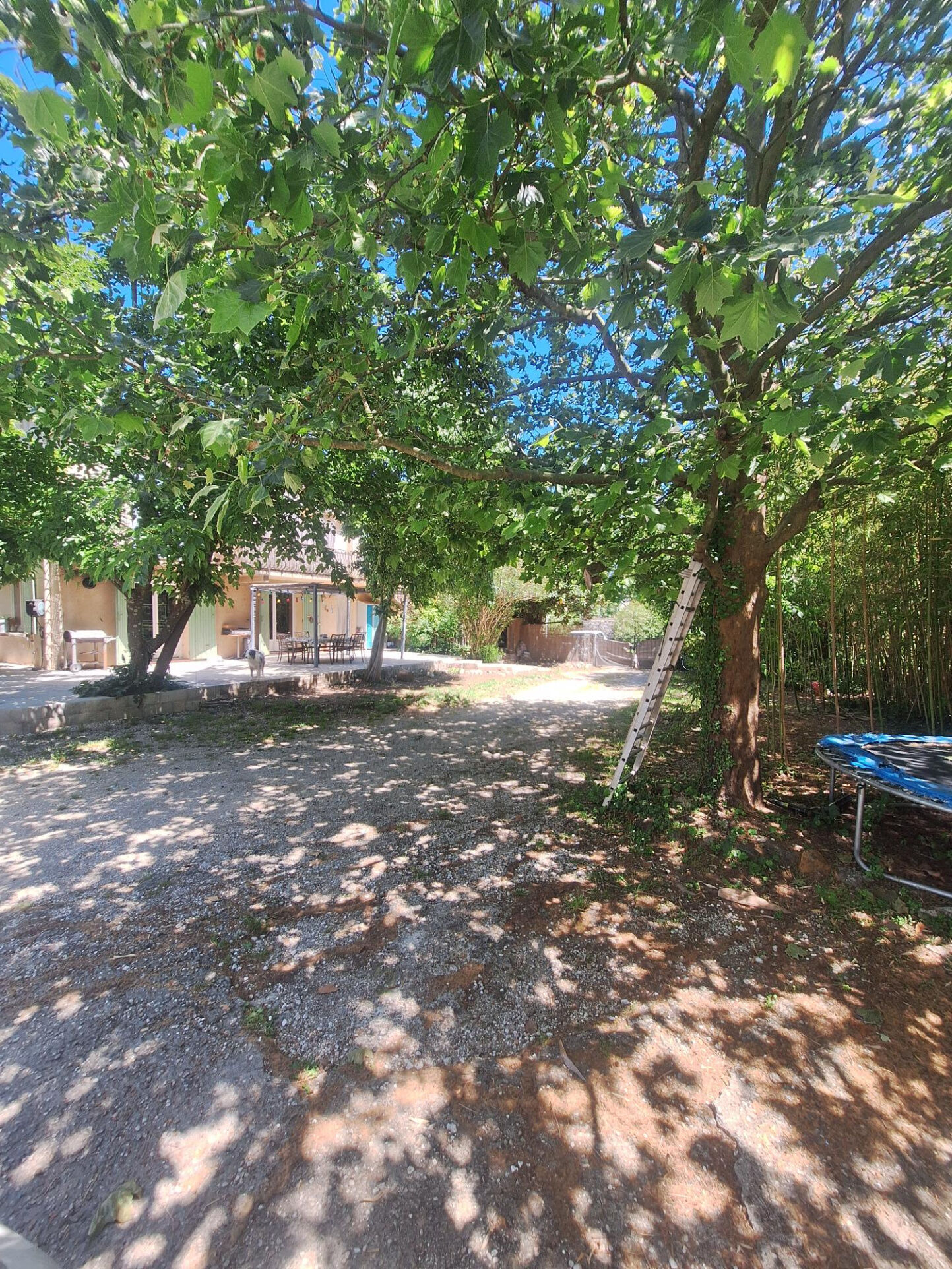Photo 17 — Calini Conseil Immobilier