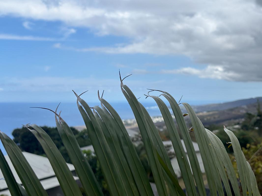Photo 13 — DIRECT IMMOBILIER II