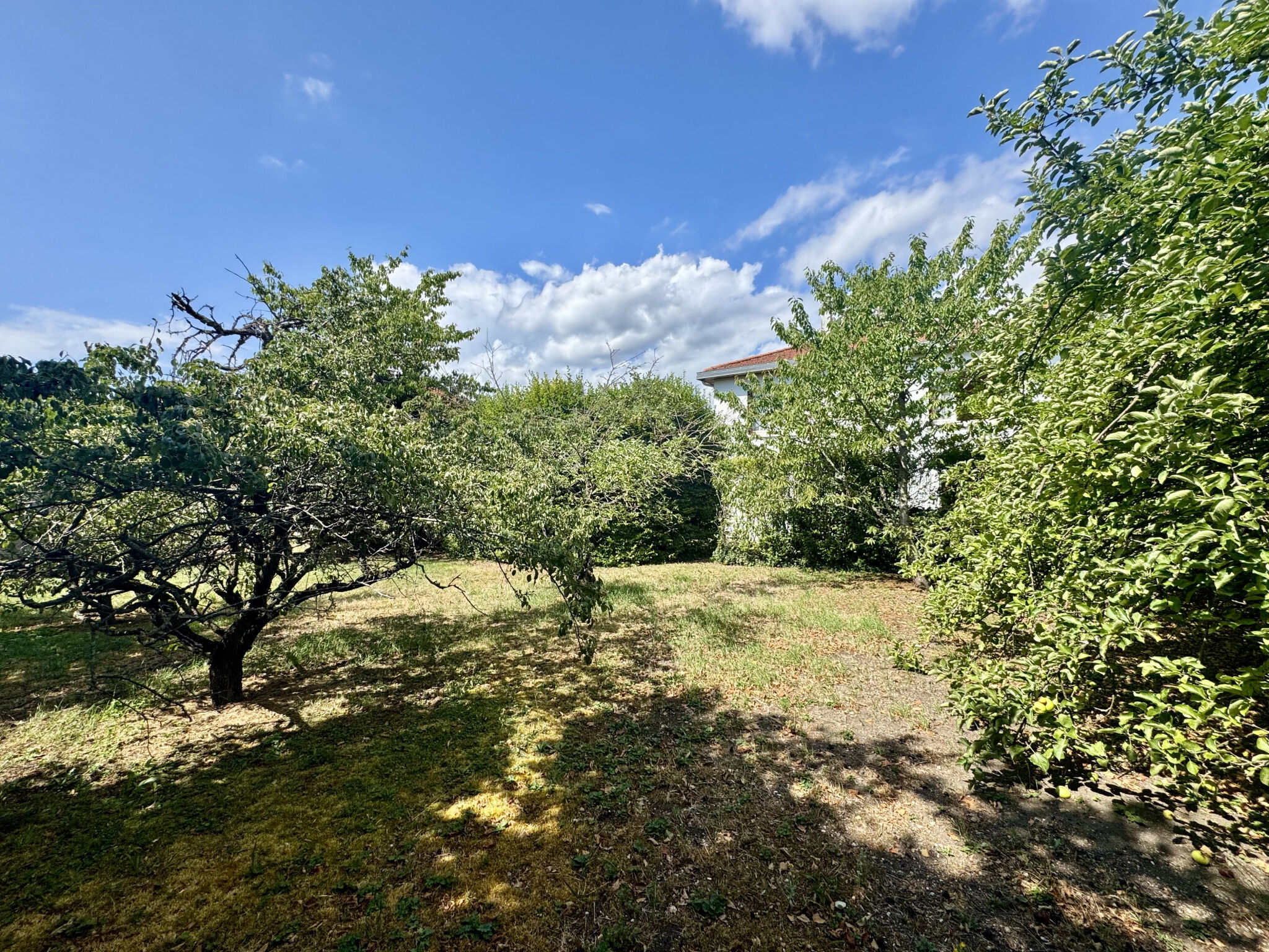 Photo 7 — A2M immobilier