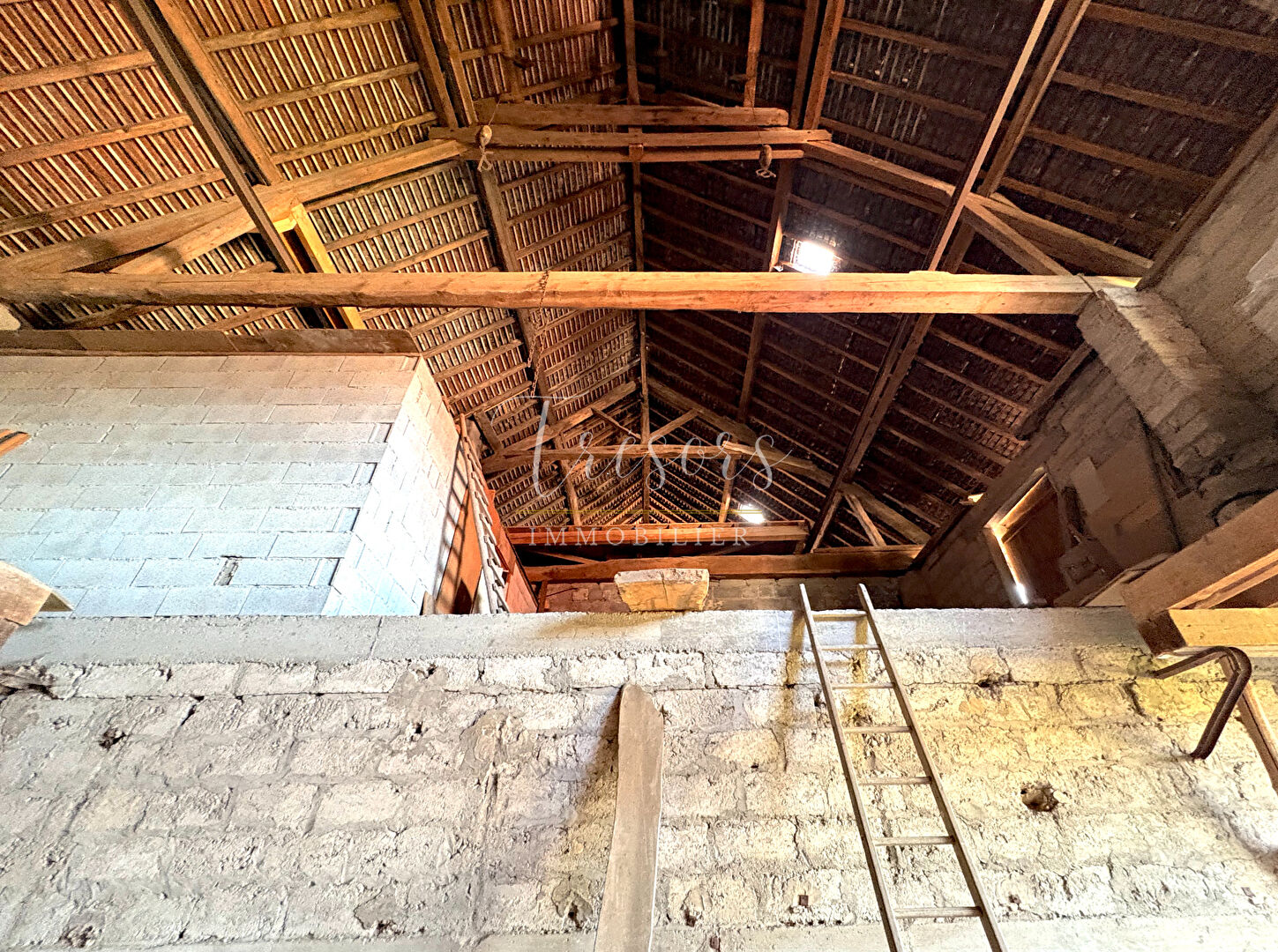 Photo 7 — TRESORS IMMOBILIER
