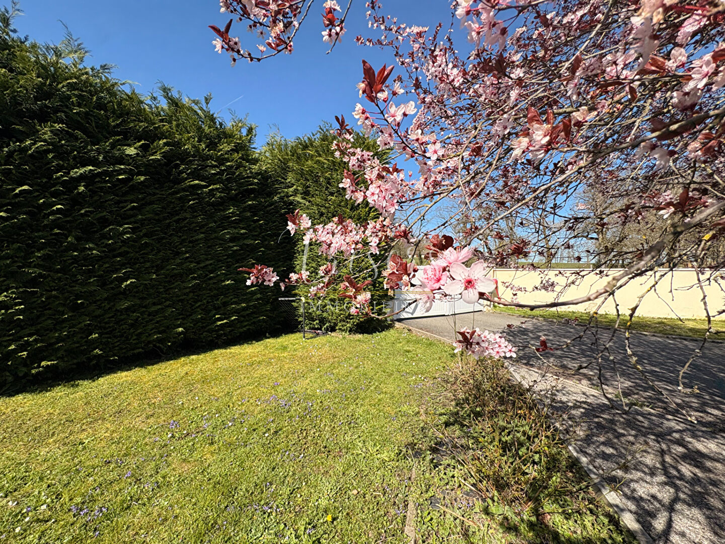 Photo 8 — TRESORS IMMOBILIER