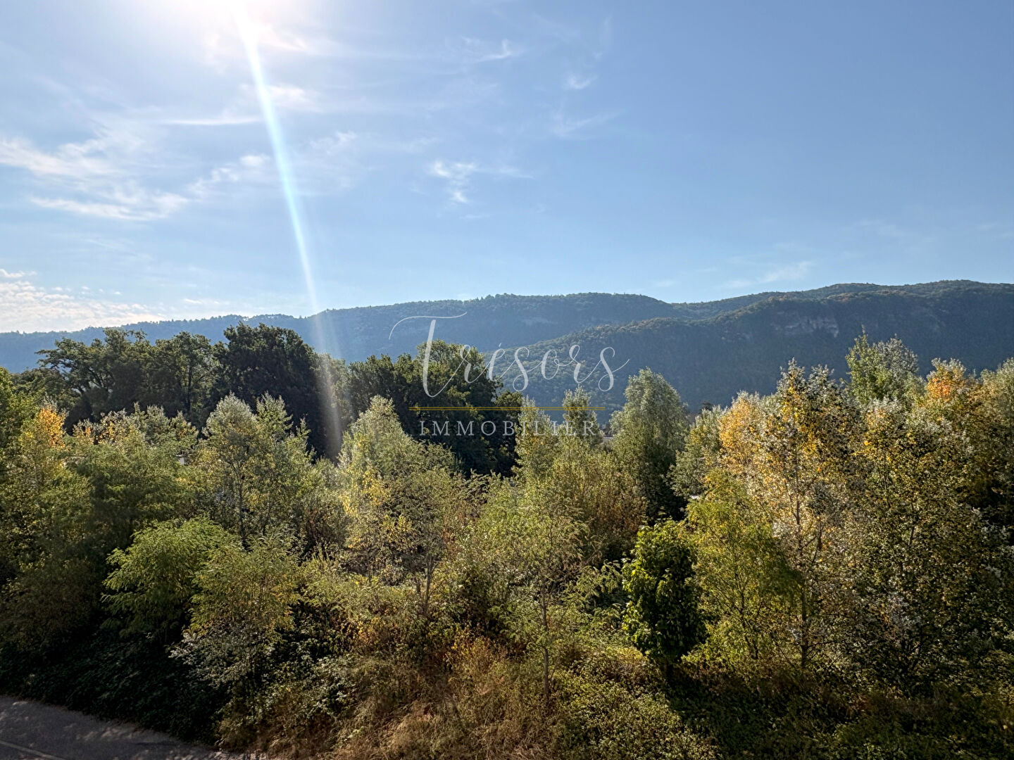Photo 7 — TRESORS IMMOBILIER