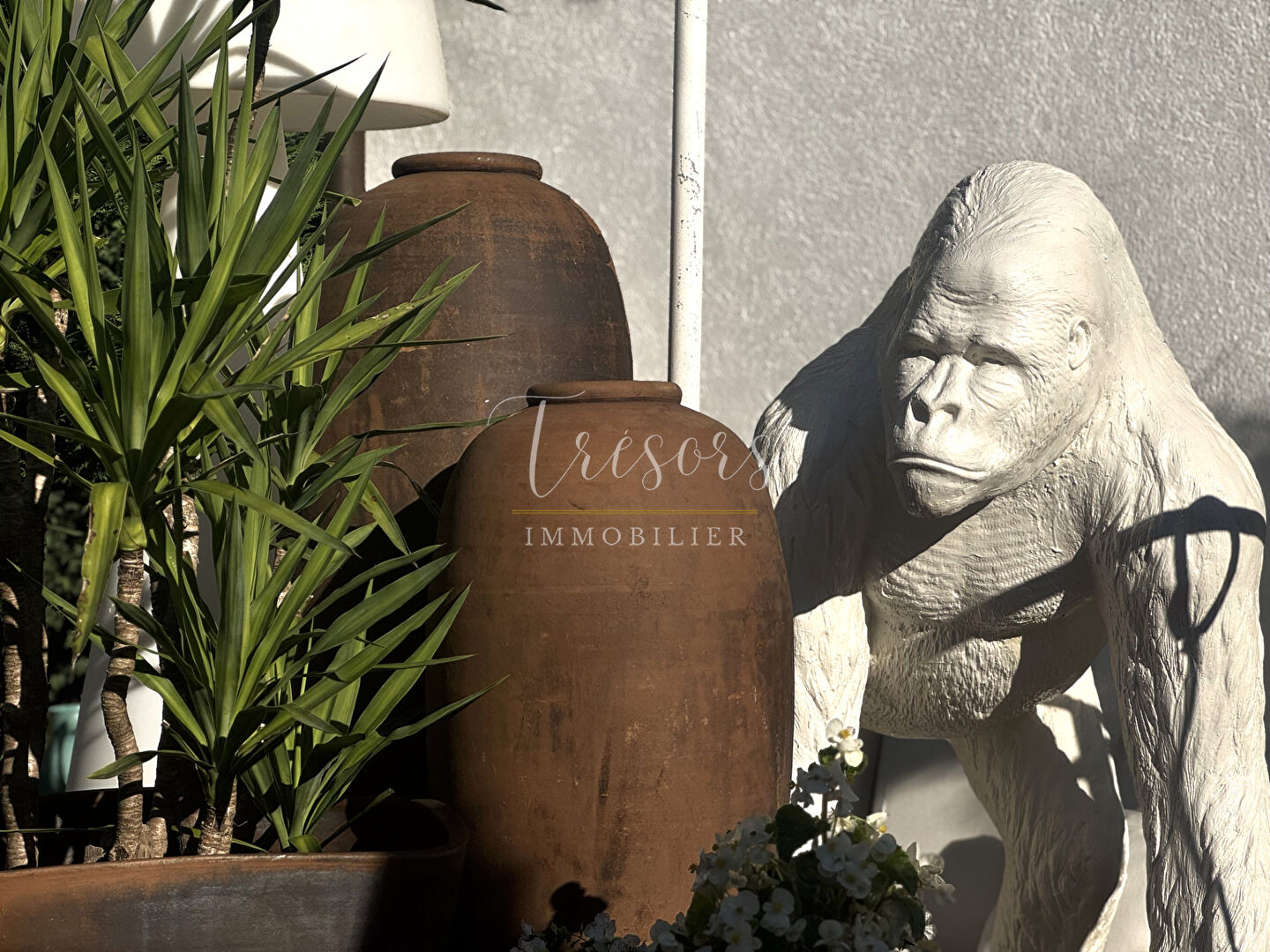 Photo 8 — TRESORS IMMOBILIER