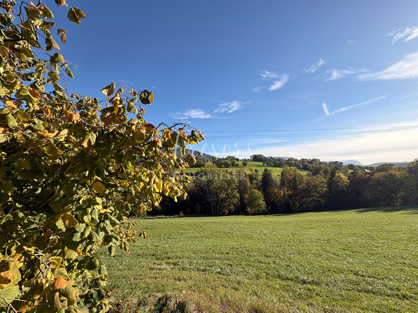 Photo 6 — TRESORS IMMOBILIER