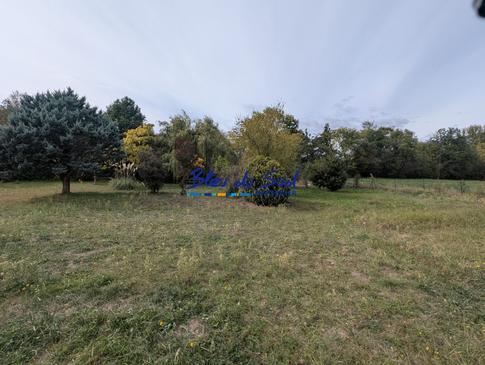 Photo 27 — BLEU DU SUD