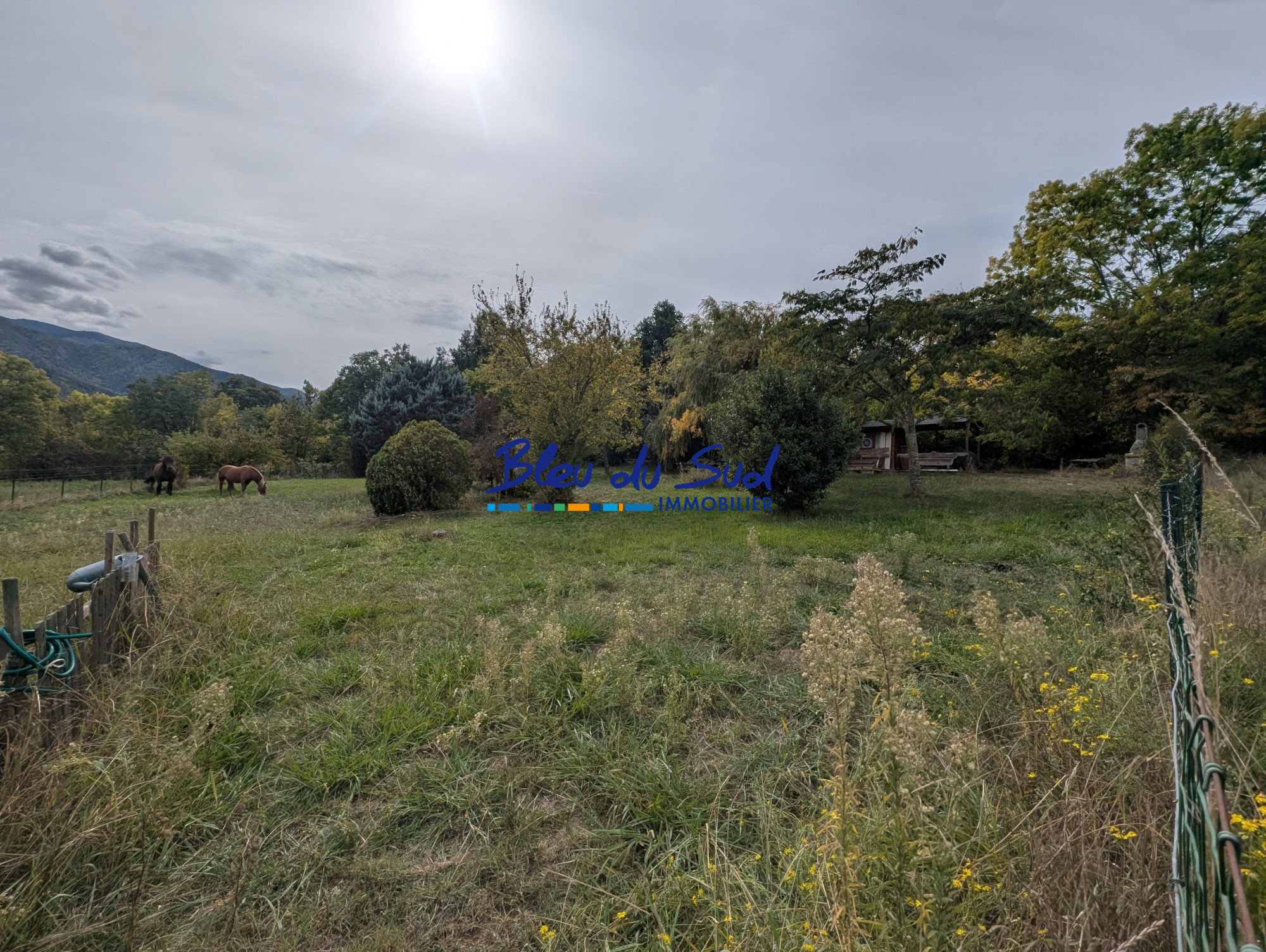 Photo 28 — BLEU DU SUD