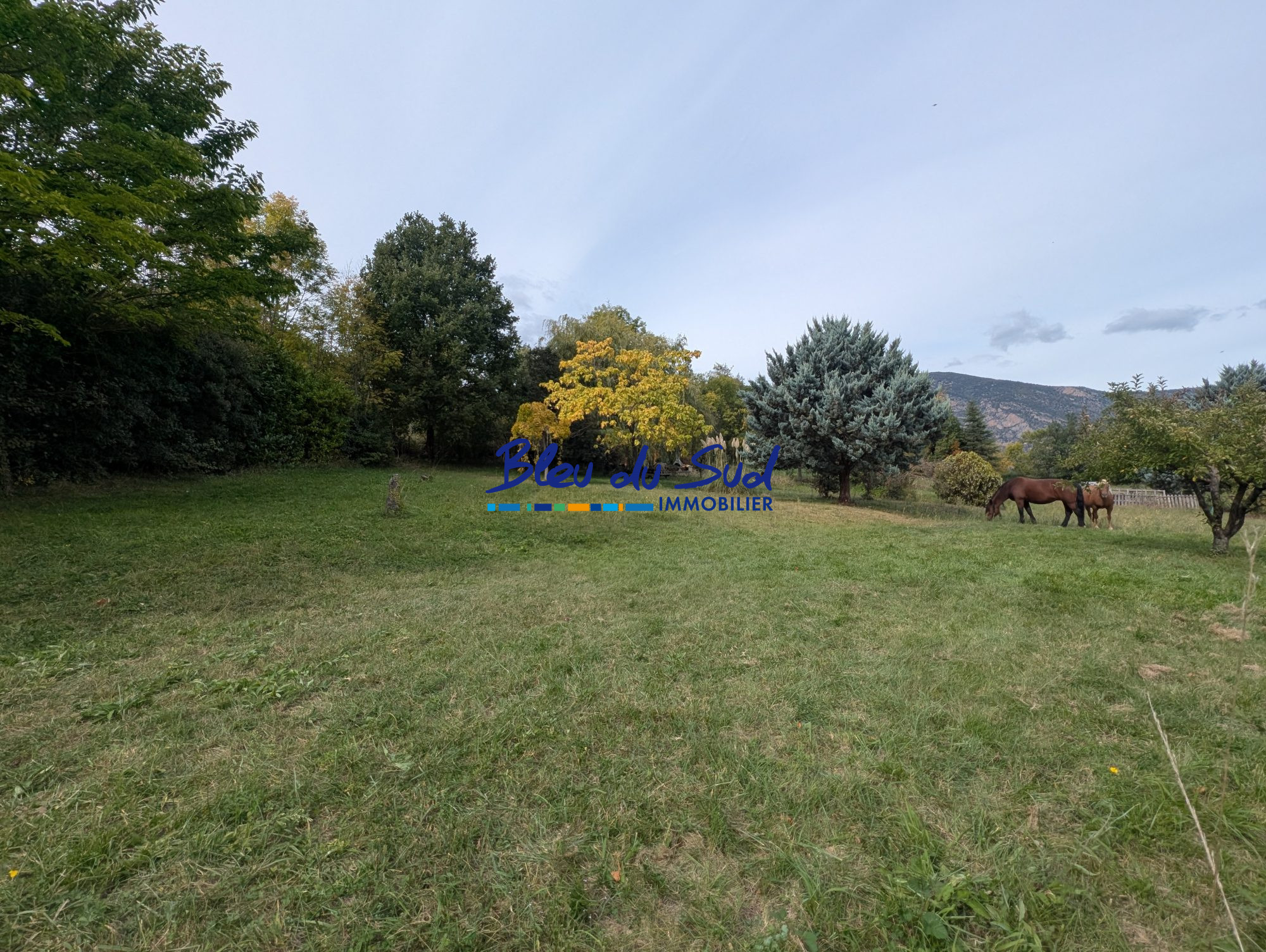Photo 30 — BLEU DU SUD