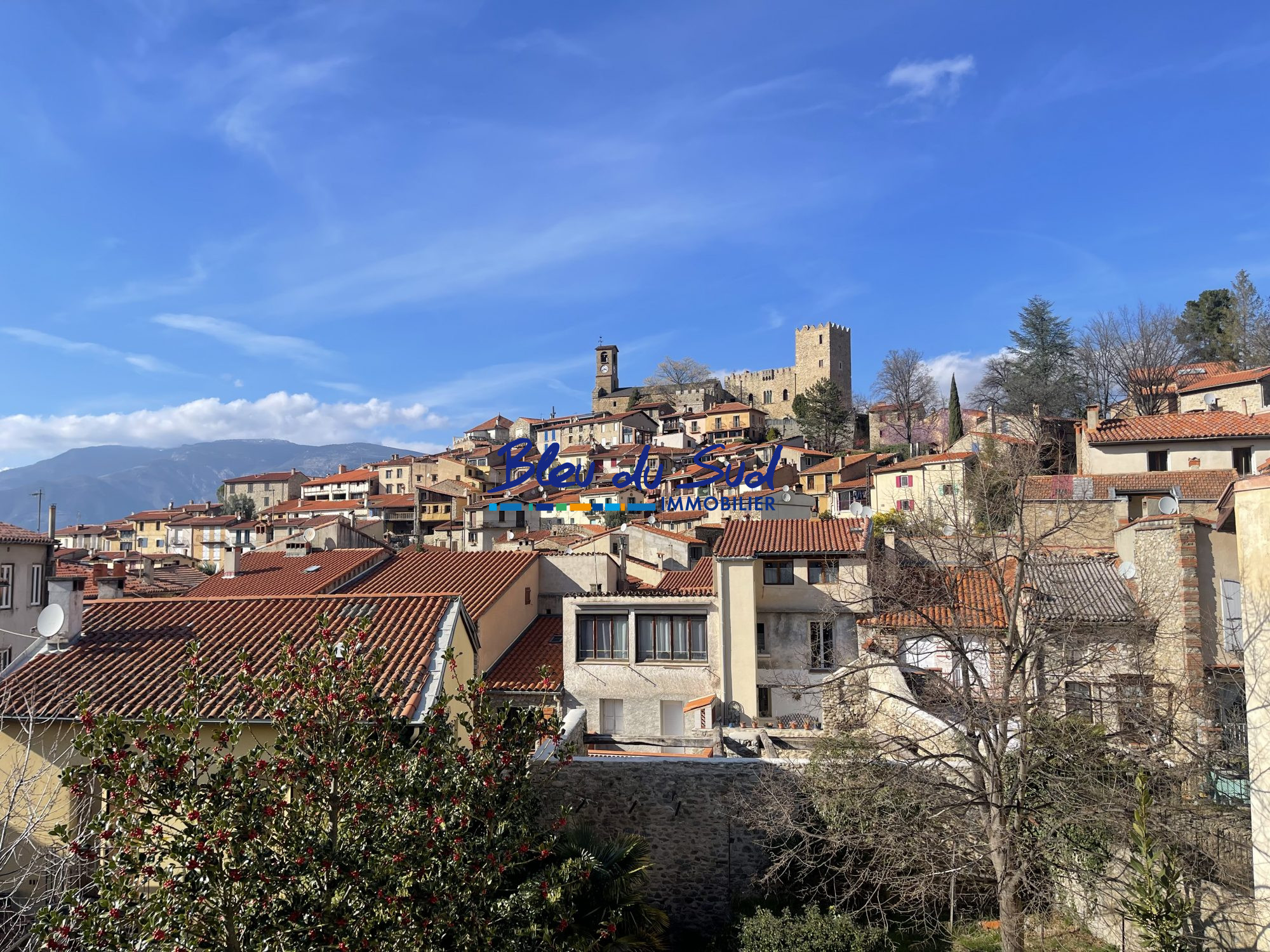 Photo 19 — BLEU DU SUD
