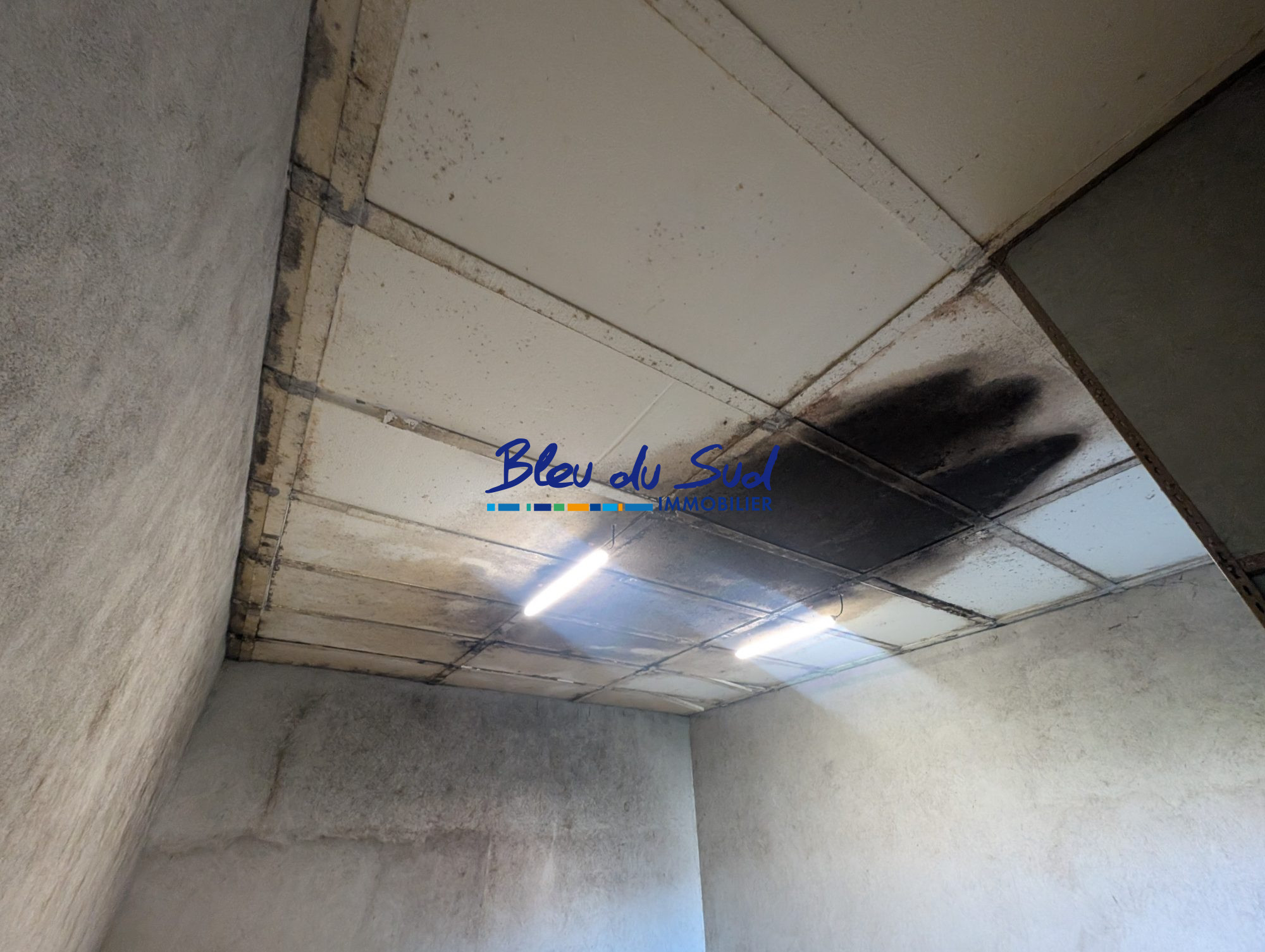 Photo 8 — BLEU DU SUD