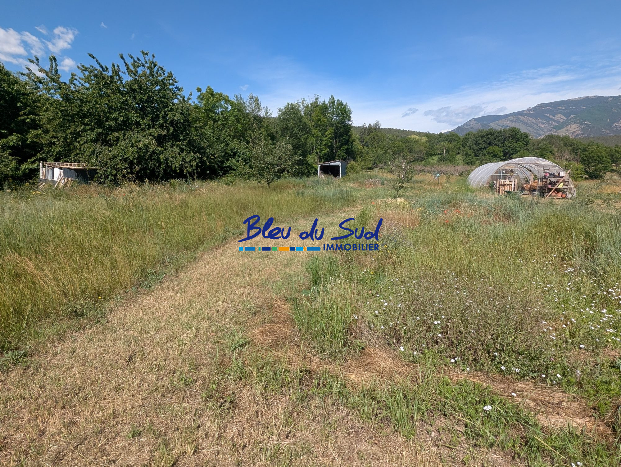 Photo 22 — BLEU DU SUD