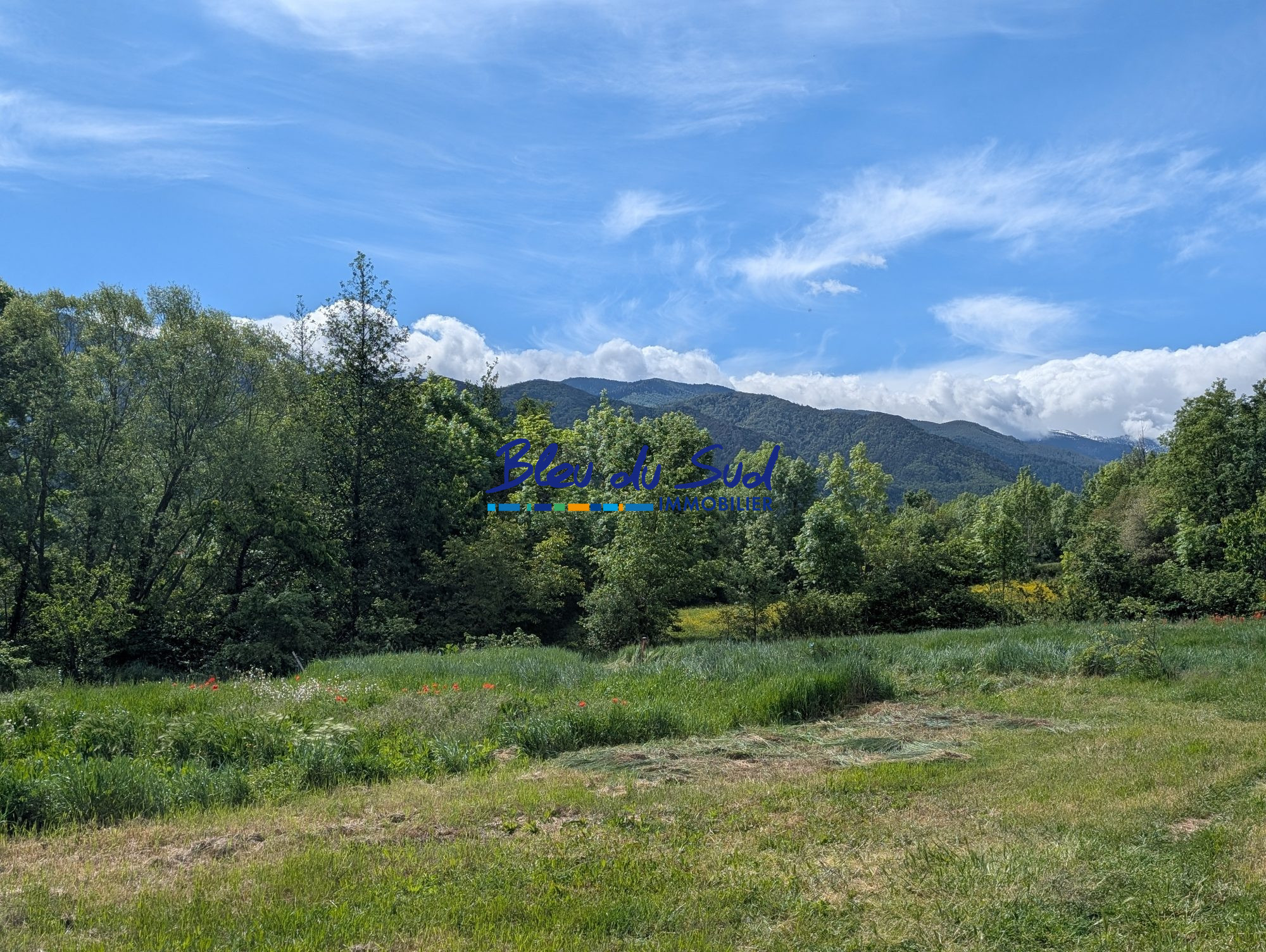 Photo 5 — BLEU DU SUD
