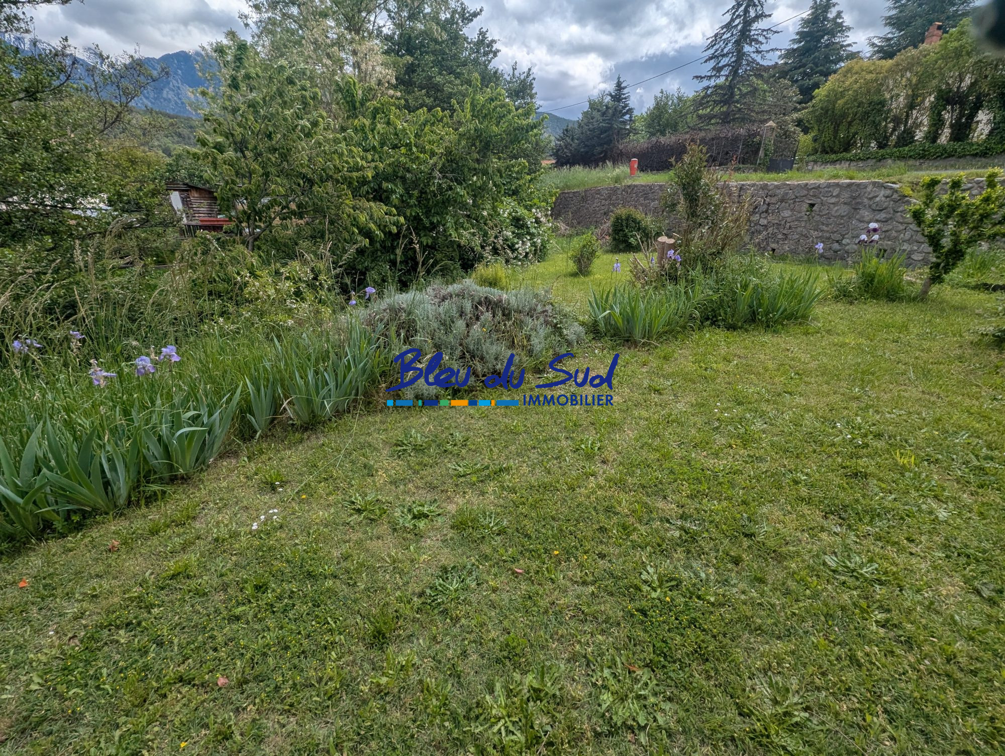 Photo 24 — BLEU DU SUD