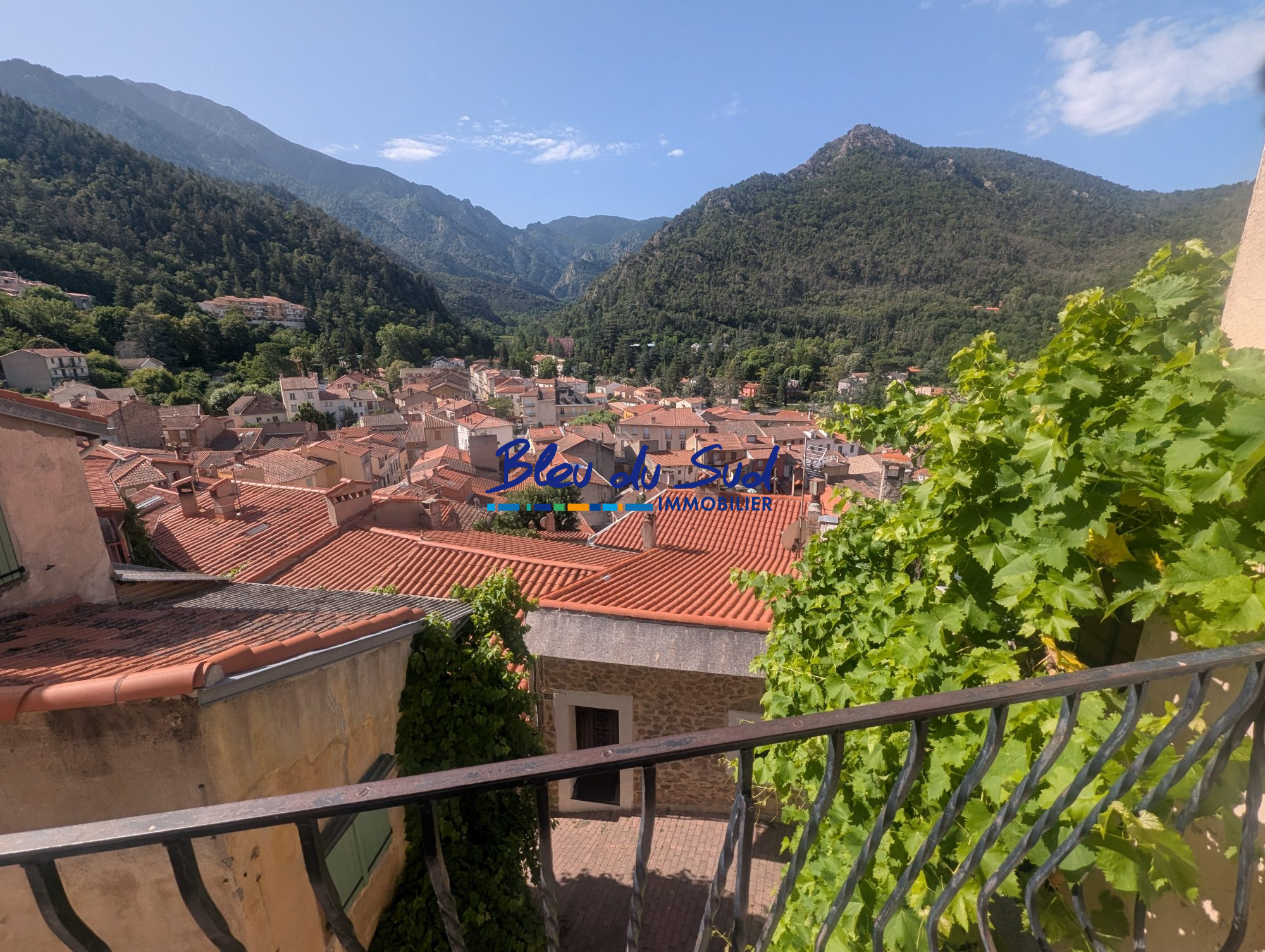 Photo 25 — BLEU DU SUD