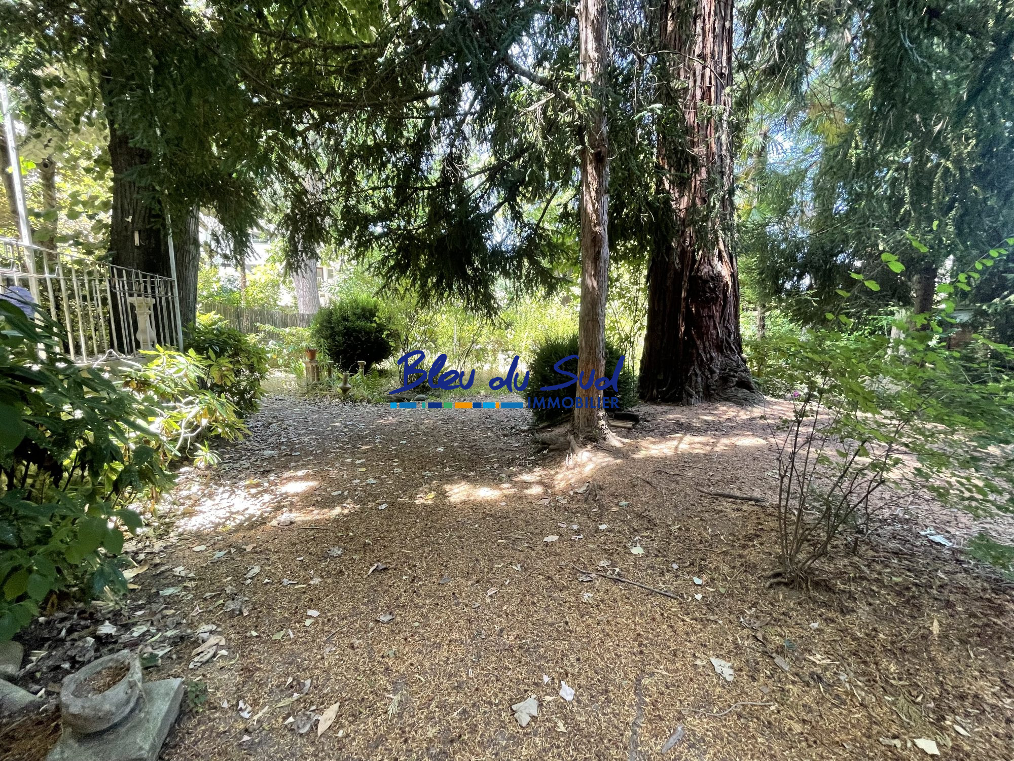 Photo 28 — BLEU DU SUD