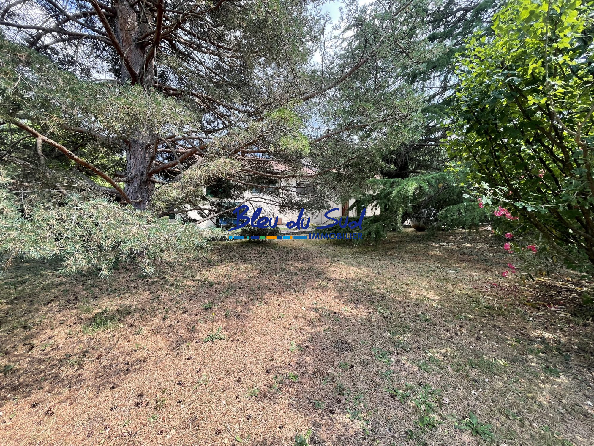 Photo 27 — BLEU DU SUD