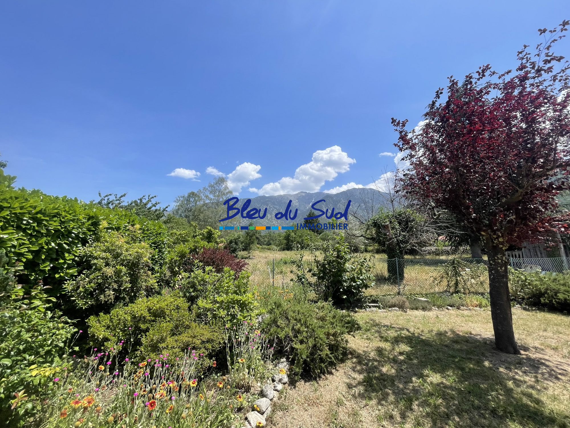 Photo 22 — BLEU DU SUD