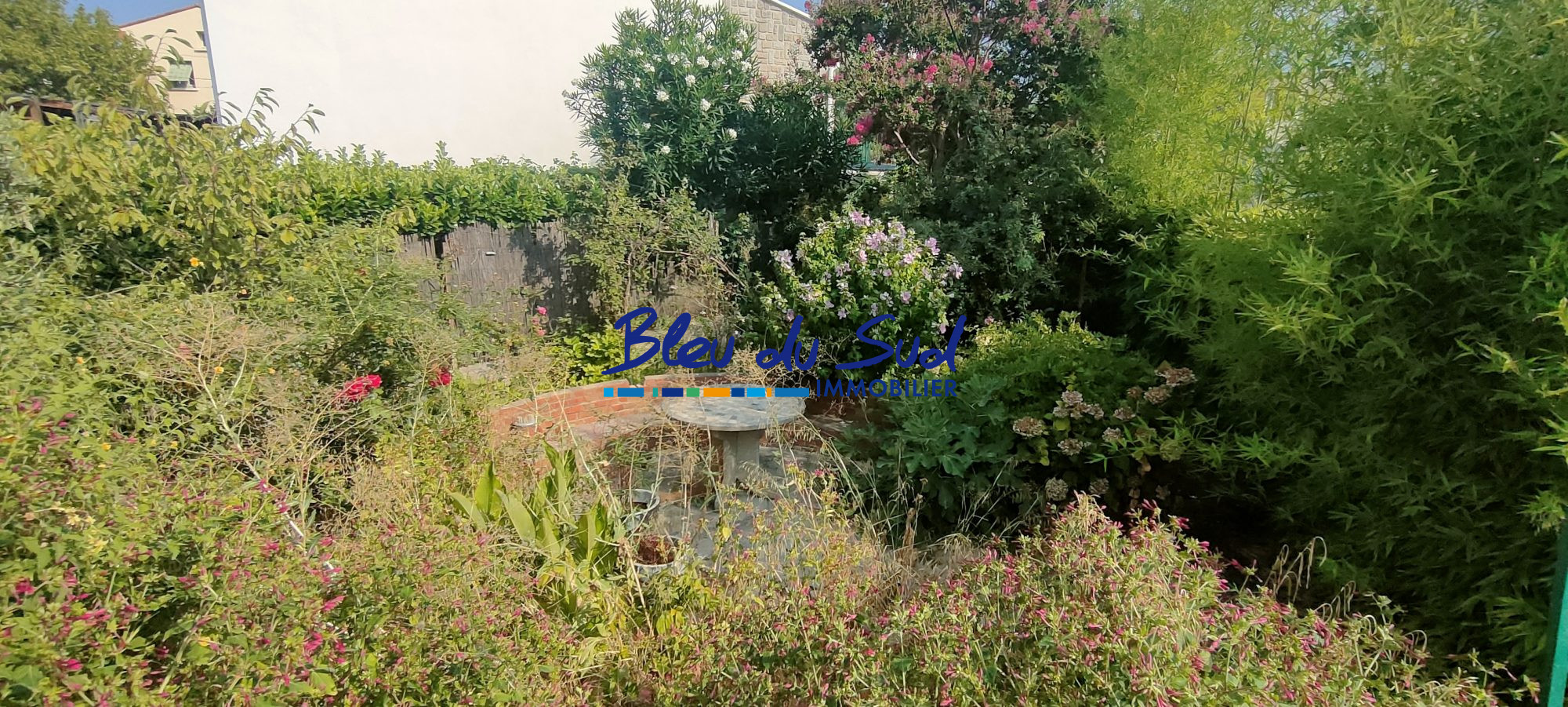 Photo 8 — BLEU DU SUD