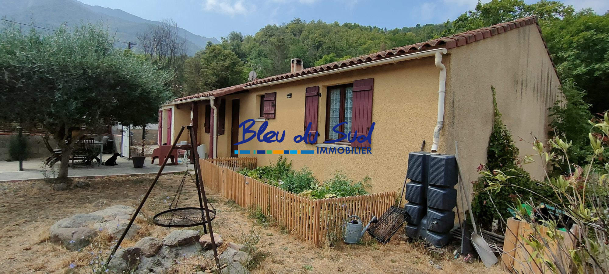 Photo 2 — BLEU DU SUD